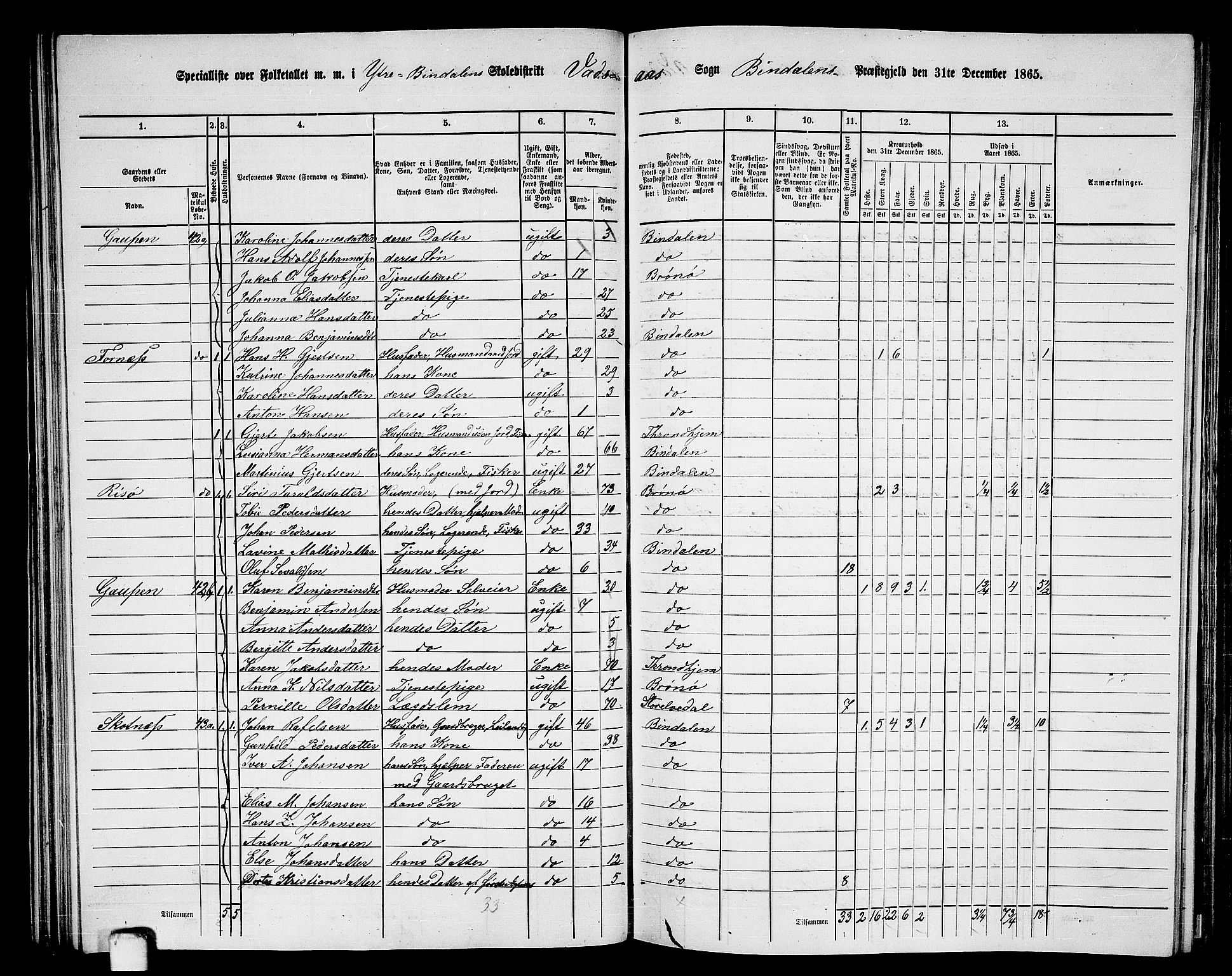 RA, 1865 census for Bindal, 1865, p. 46