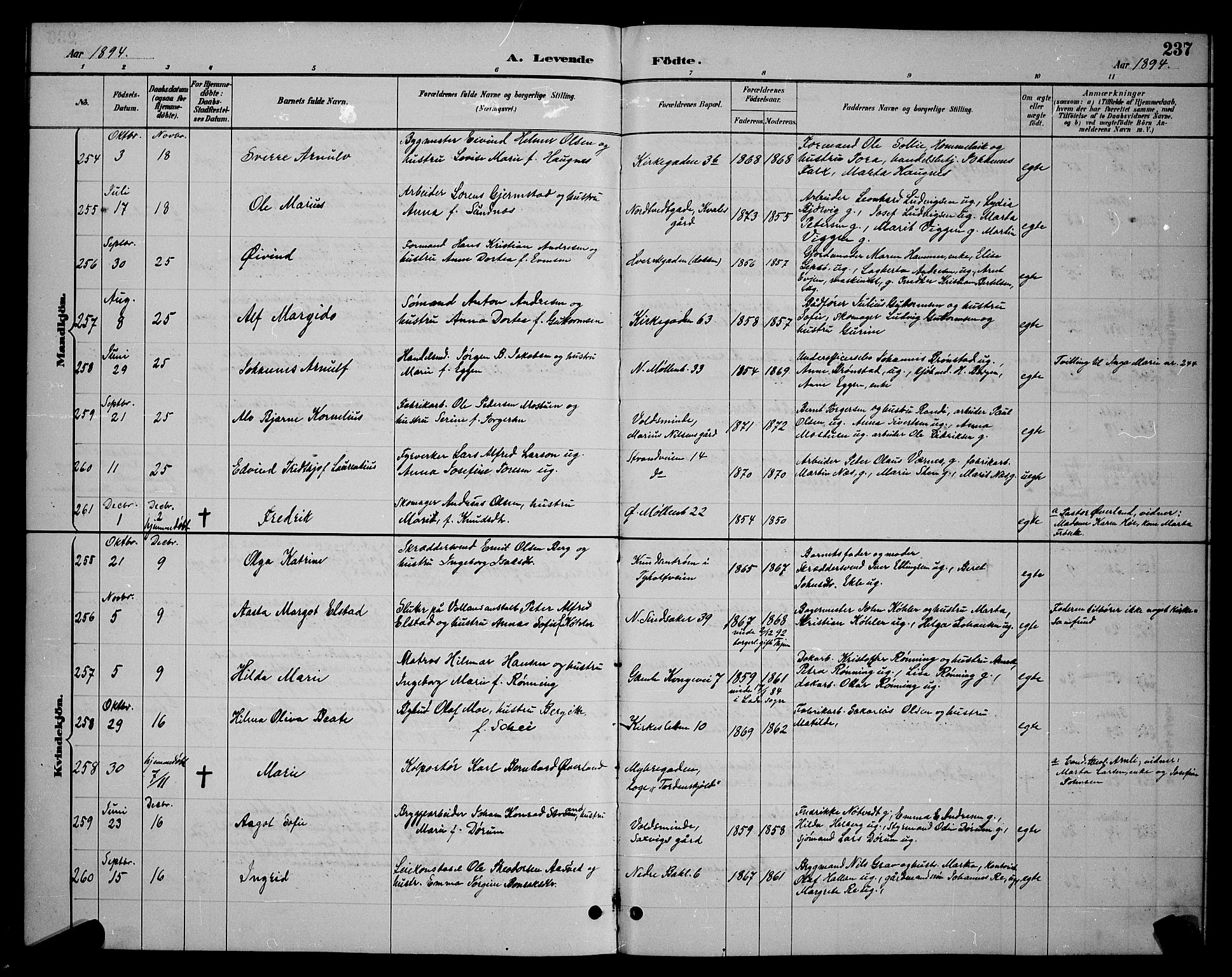 Ministerialprotokoller, klokkerbøker og fødselsregistre - Sør-Trøndelag, AV/SAT-A-1456/604/L0222: Parish register (copy) no. 604C05, 1886-1895, p. 237