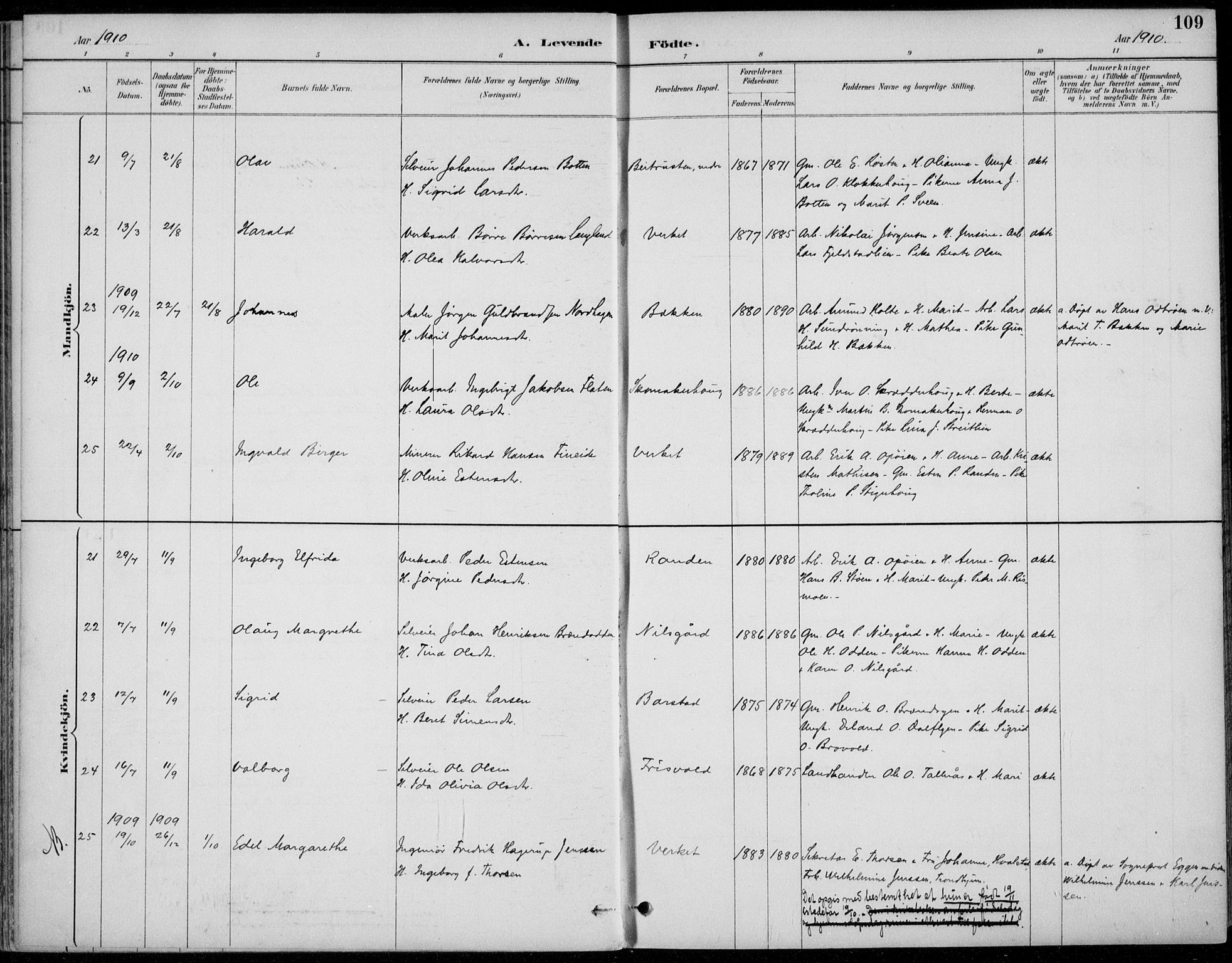 Alvdal prestekontor, AV/SAH-PREST-060/H/Ha/Haa/L0003: Parish register (official) no. 3, 1886-1912, p. 109