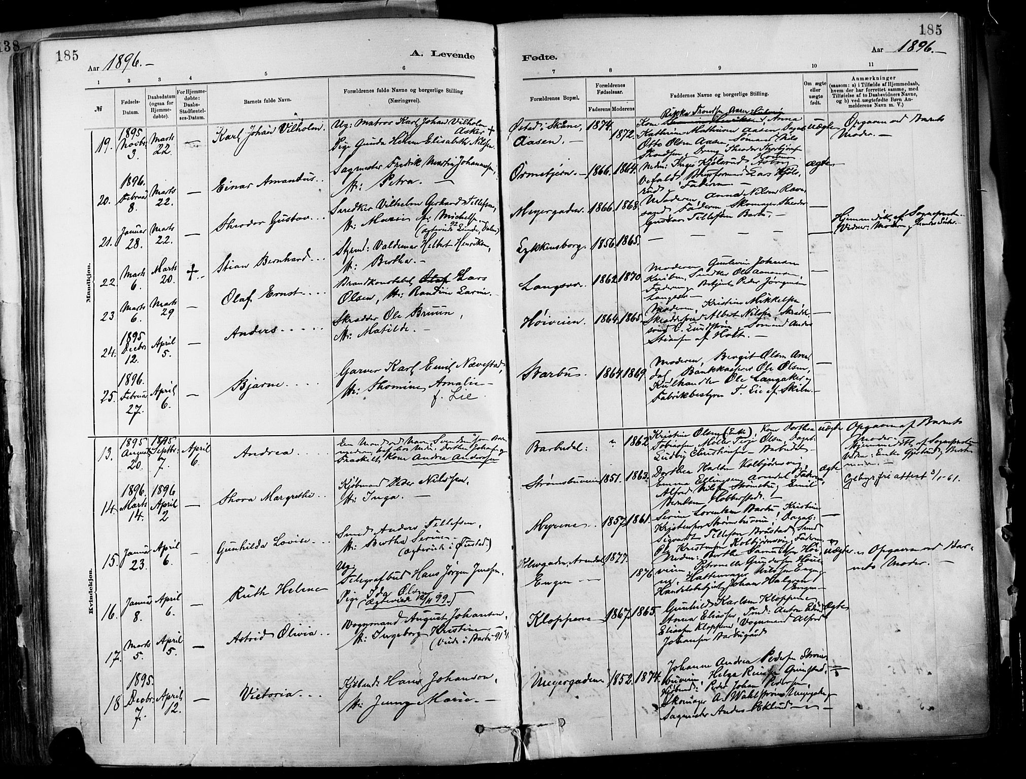 Barbu sokneprestkontor, AV/SAK-1111-0003/F/Fa/L0002: Parish register (official) no. A 2, 1883-1898, p. 185