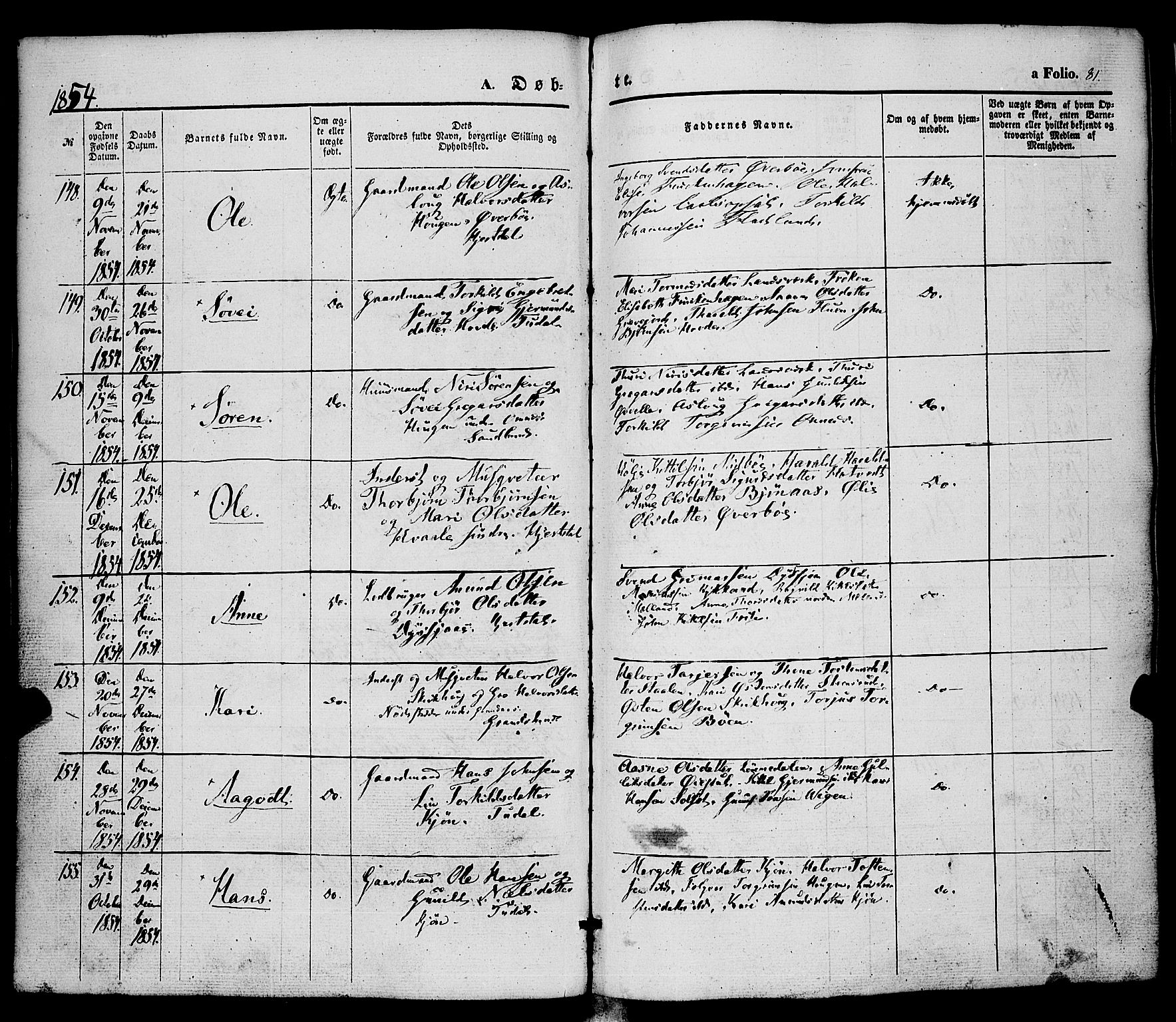 Hjartdal kirkebøker, AV/SAKO-A-270/F/Fa/L0008: Parish register (official) no. I 8, 1844-1859, p. 81