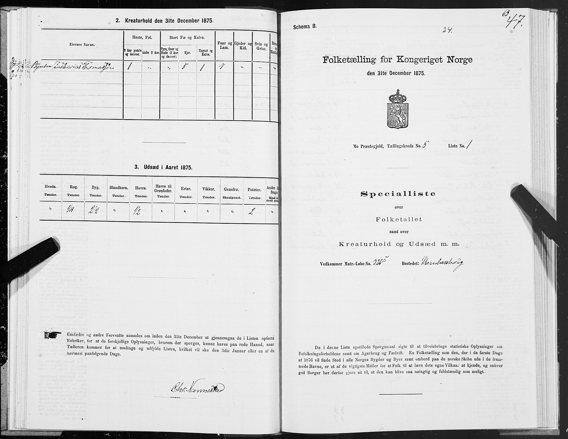 SAT, 1875 census for 1833P Mo, 1875, p. 3047