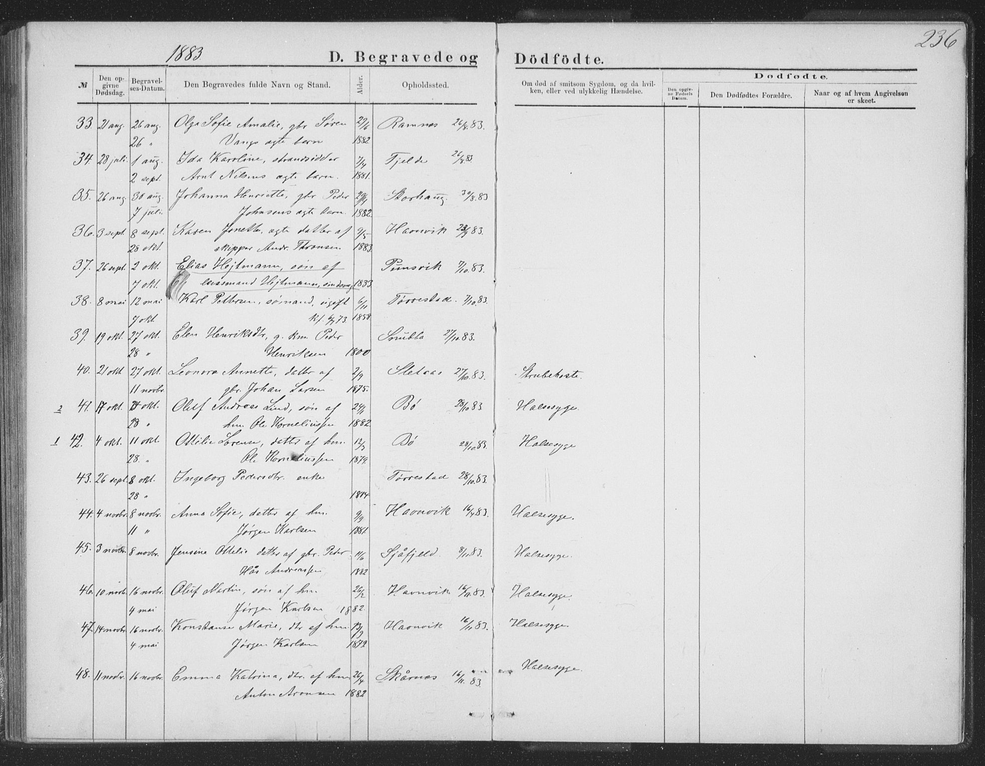 Ministerialprotokoller, klokkerbøker og fødselsregistre - Nordland, SAT/A-1459/863/L0913: Parish register (copy) no. 863C03, 1877-1885, p. 236