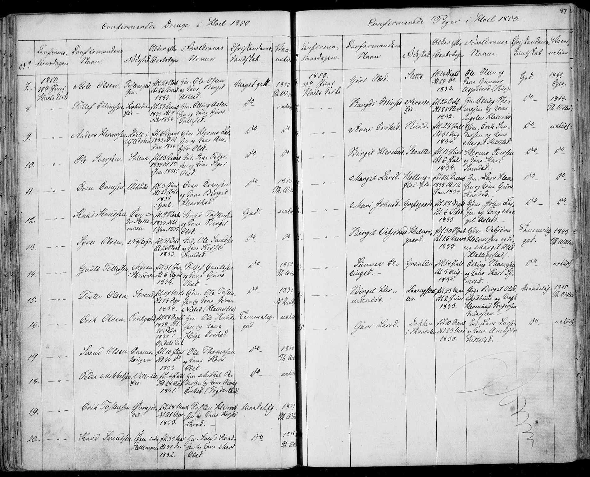 Ål kirkebøker, SAKO/A-249/F/Fa/L0006: Parish register (official) no. I 6, 1849-1864, p. 87