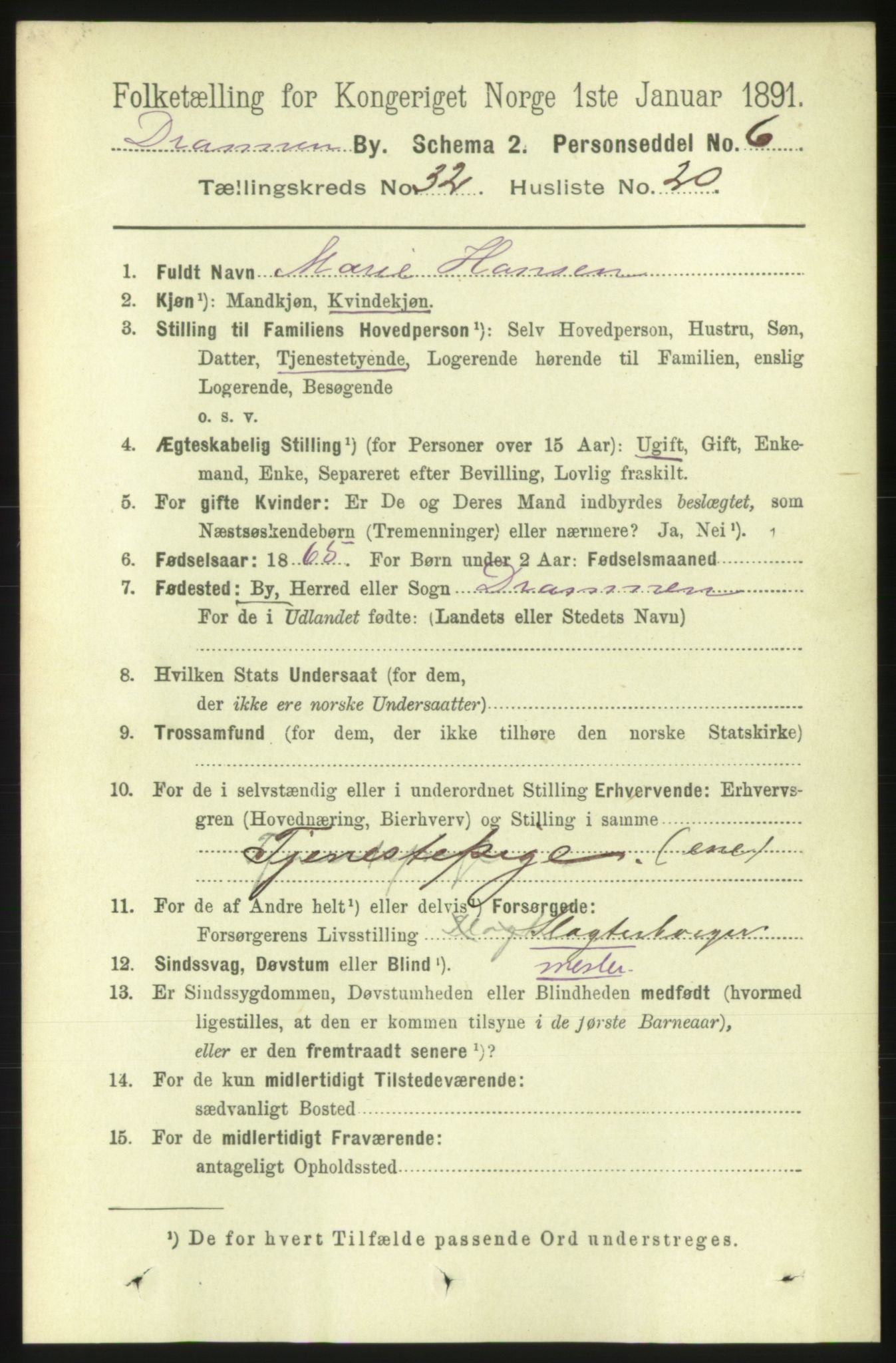 RA, 1891 census for 0602 Drammen, 1891, p. 19517