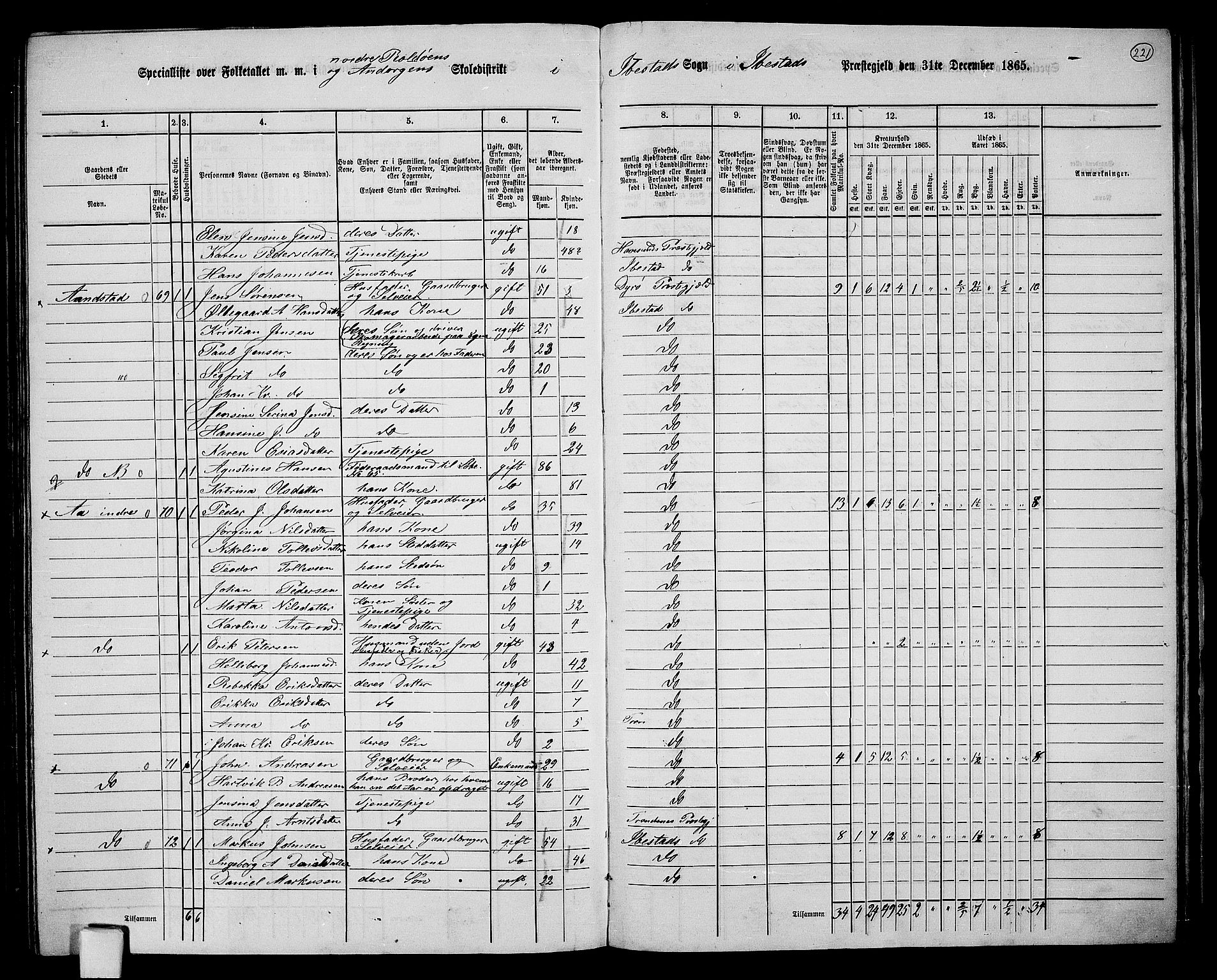 RA, 1865 census for Ibestad, 1865, p. 206