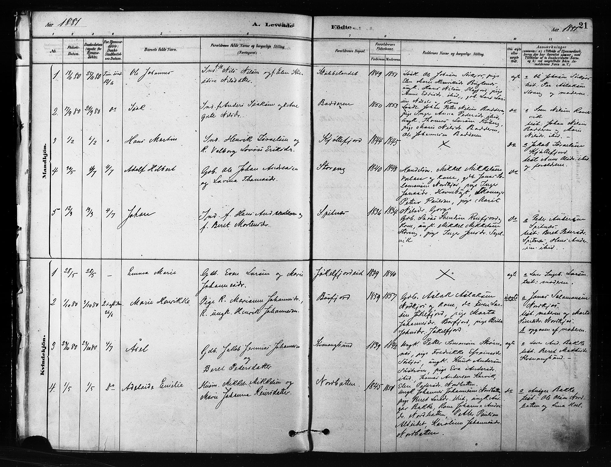 Skjervøy sokneprestkontor, SATØ/S-1300/H/Ha/Haa/L0012kirke: Parish register (official) no. 12, 1878-1891, p. 21