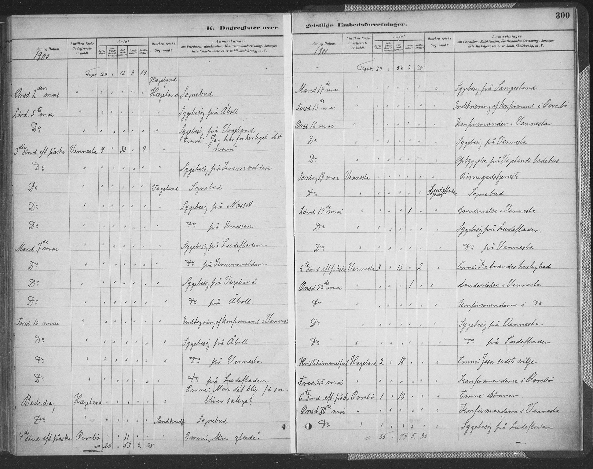 Vennesla sokneprestkontor, SAK/1111-0045/Fa/Fac/L0009: Parish register (official) no. A 9, 1884-1901, p. 300