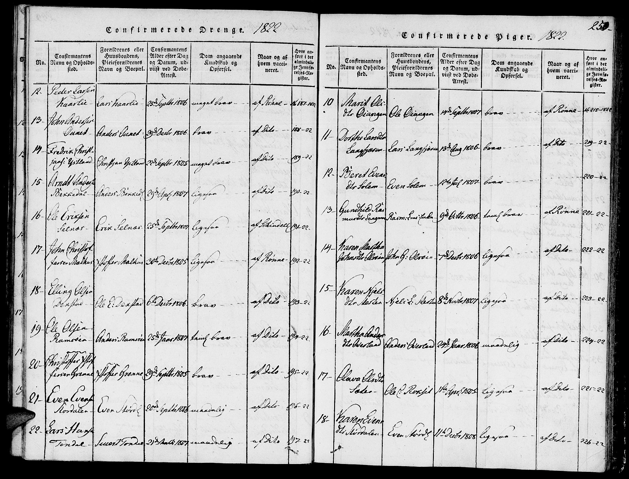 Ministerialprotokoller, klokkerbøker og fødselsregistre - Sør-Trøndelag, SAT/A-1456/646/L0608: Parish register (official) no. 646A06, 1816-1825, p. 250