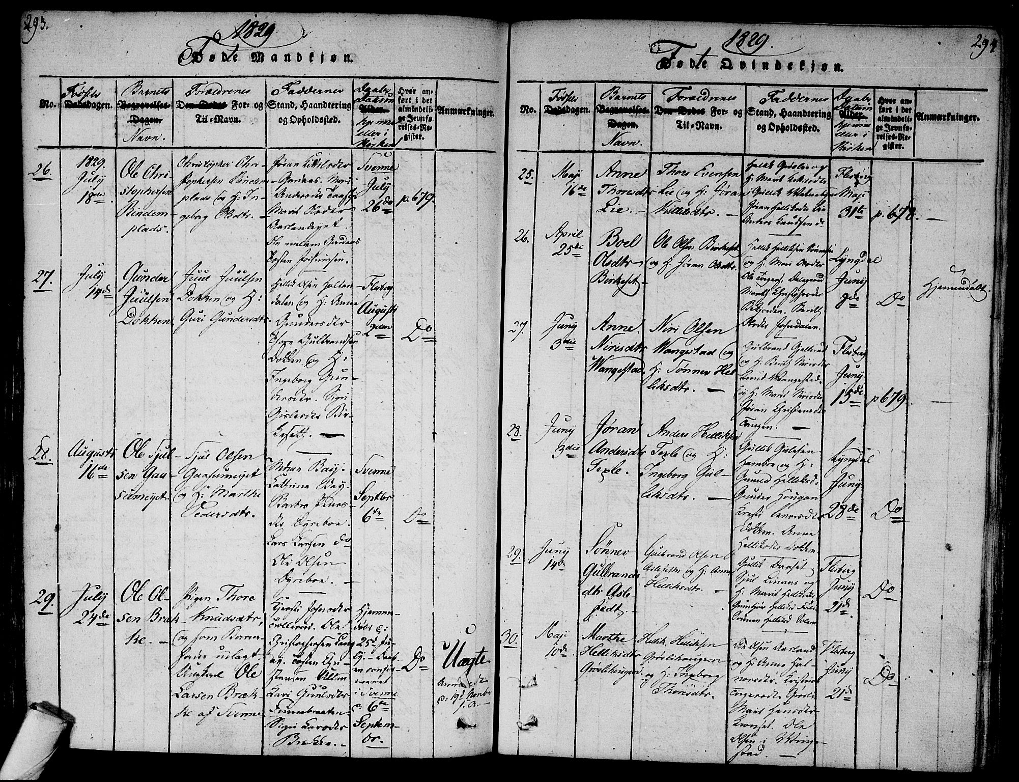 Flesberg kirkebøker, AV/SAKO-A-18/F/Fa/L0005: Parish register (official) no. I 5, 1816-1834, p. 293-294