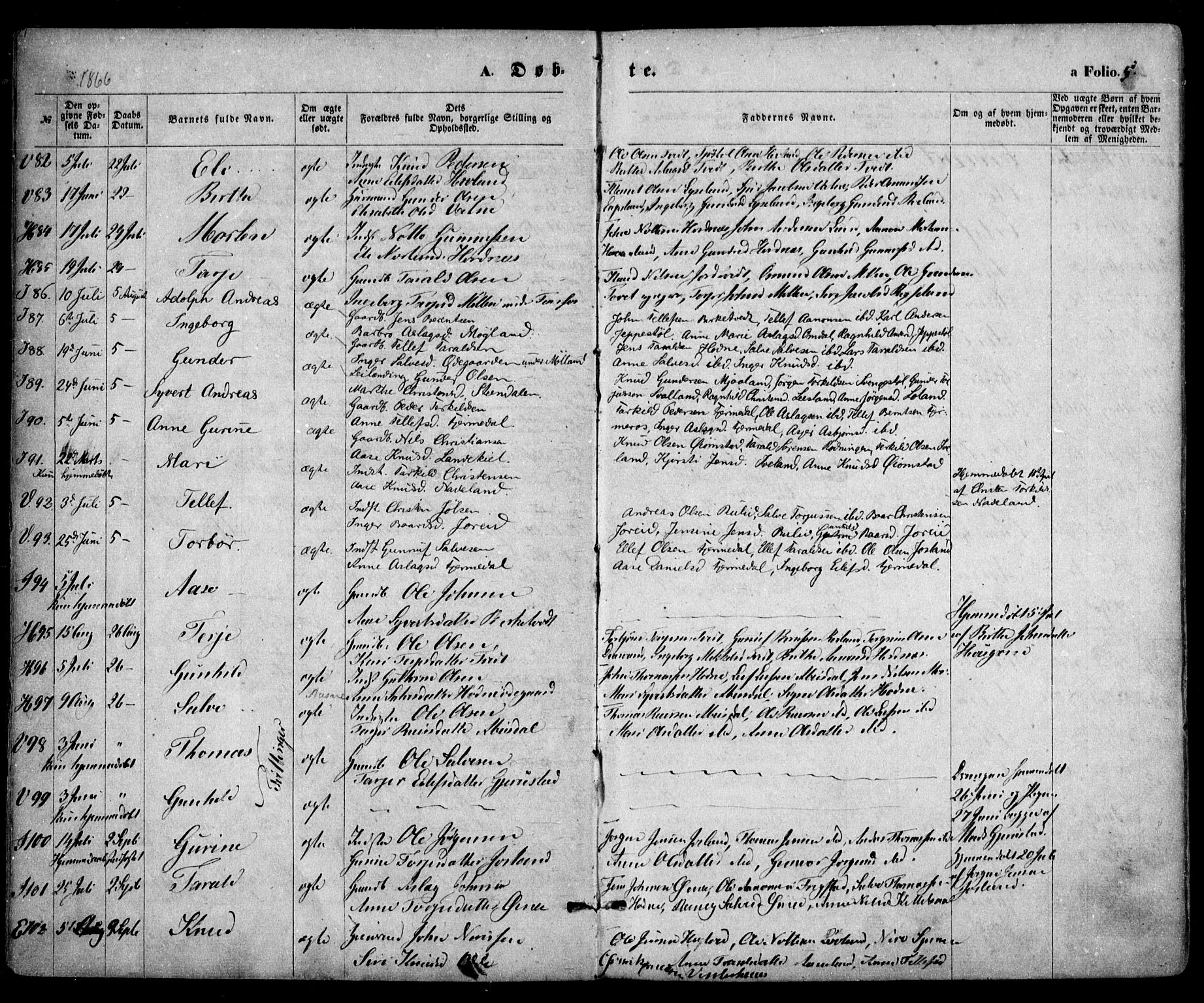 Evje sokneprestkontor, AV/SAK-1111-0008/F/Fa/Faa/L0006: Parish register (official) no. A 6, 1866-1884, p. 5