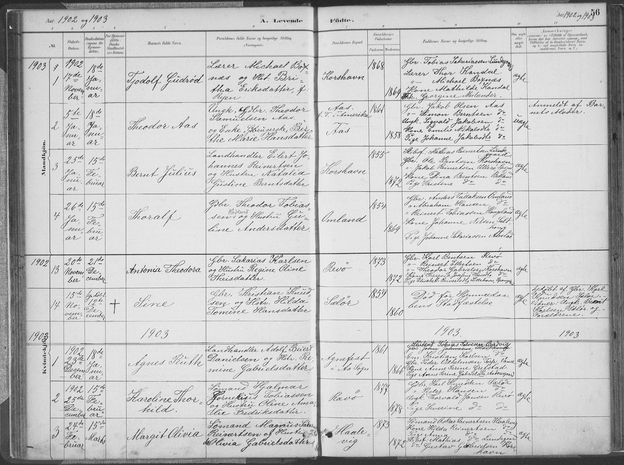 Lyngdal sokneprestkontor, SAK/1111-0029/F/Fa/Faa/L0004: Parish register (official) no. A 4, 1883-1904, p. 56