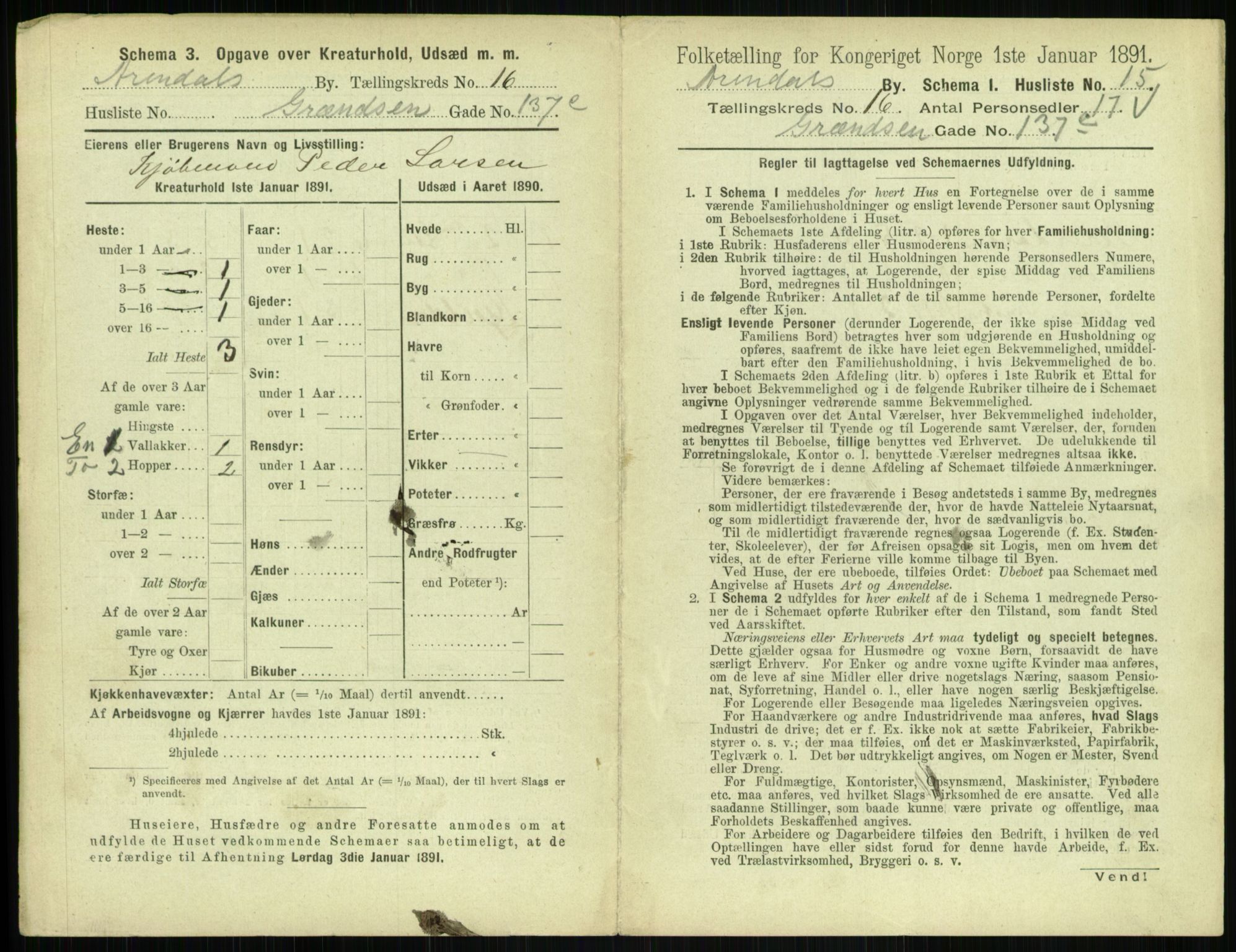 RA, 1891 census for 0903 Arendal, 1891, p. 894