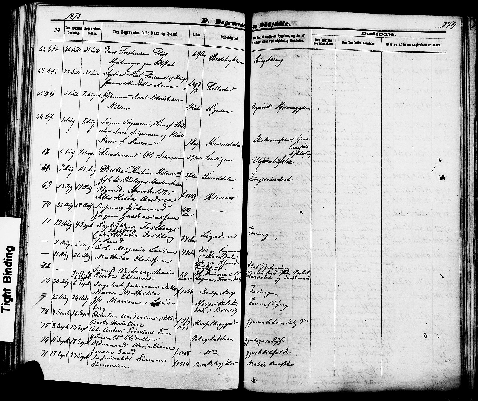 Skien kirkebøker, AV/SAKO-A-302/F/Fa/L0008: Parish register (official) no. 8, 1866-1877, p. 274