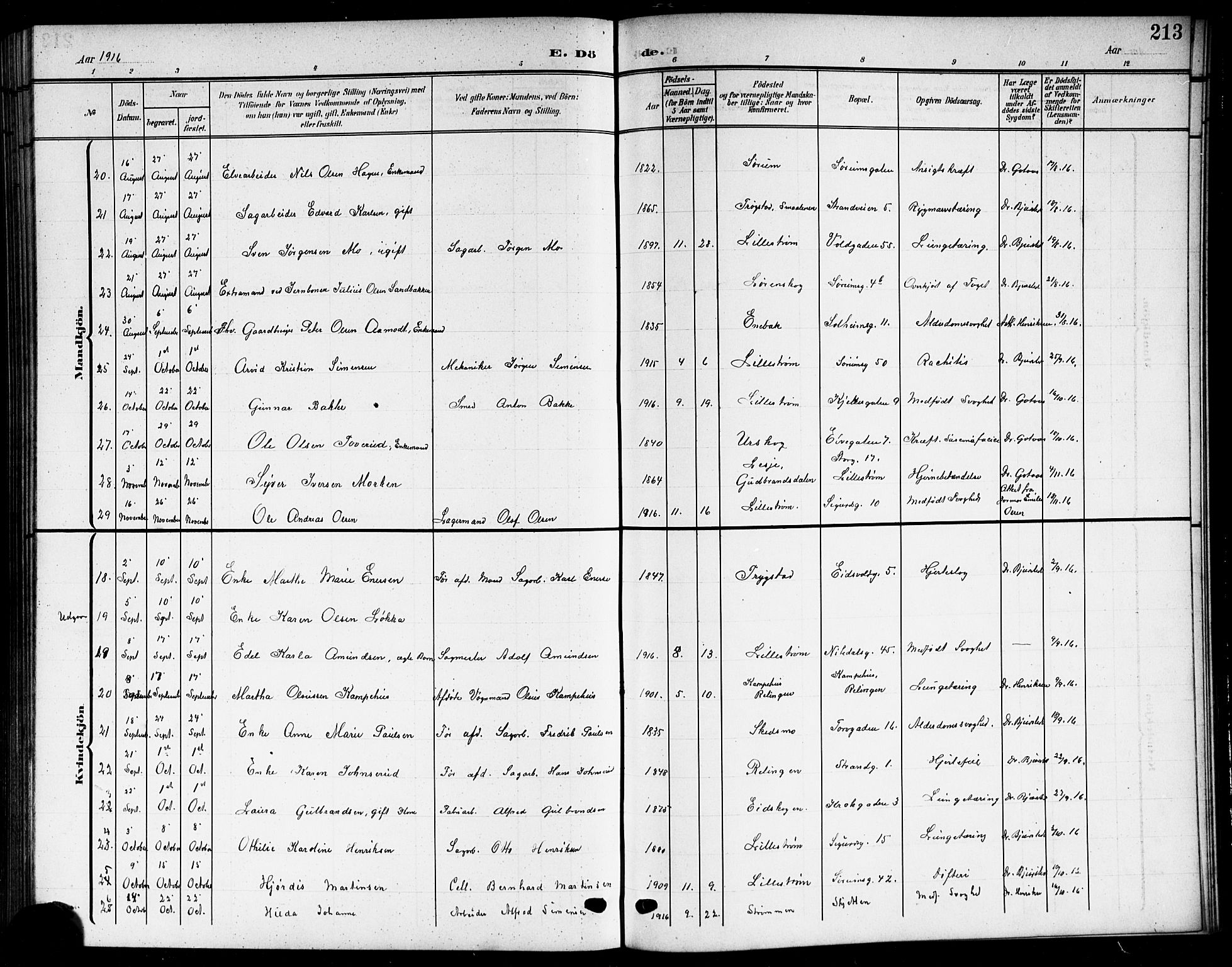 Skedsmo prestekontor Kirkebøker, SAO/A-10033a/G/Gc/L0001: Parish register (copy) no. III 1, 1908-1916, p. 213