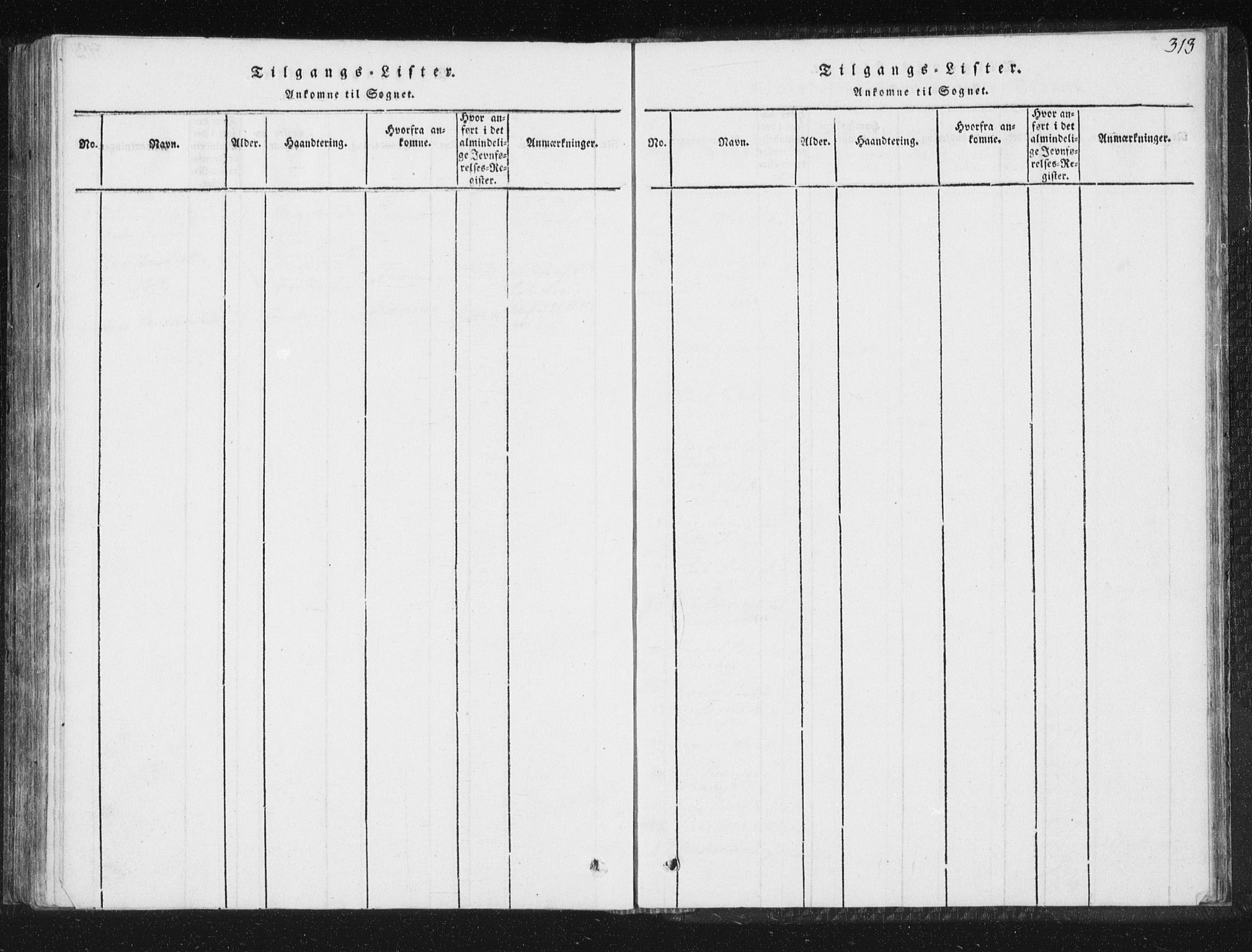 Ministerialprotokoller, klokkerbøker og fødselsregistre - Sør-Trøndelag, SAT/A-1456/689/L1037: Parish register (official) no. 689A02, 1816-1842, p. 313