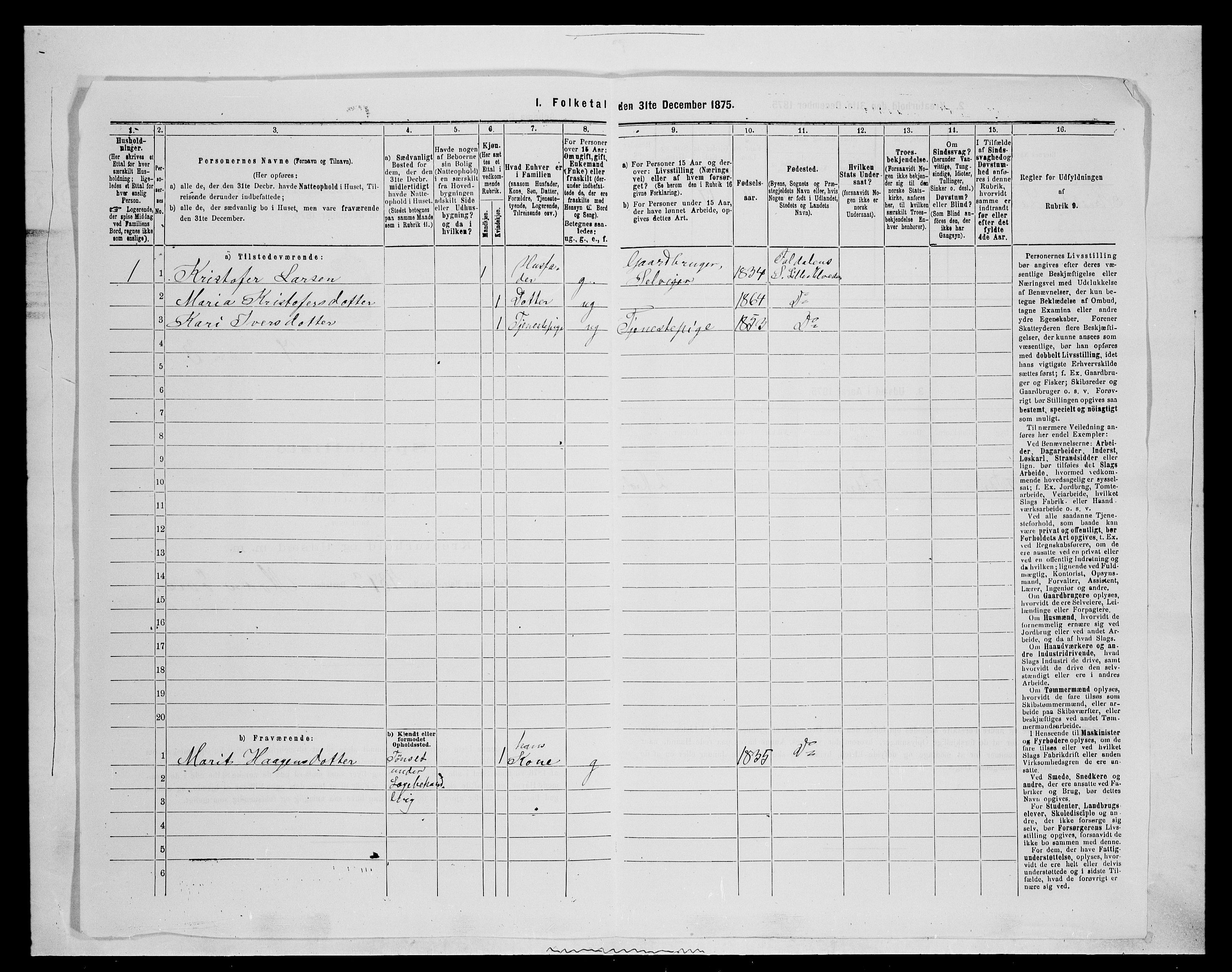 SAH, 1875 census for 0438P Lille Elvedalen, 1875, p. 651