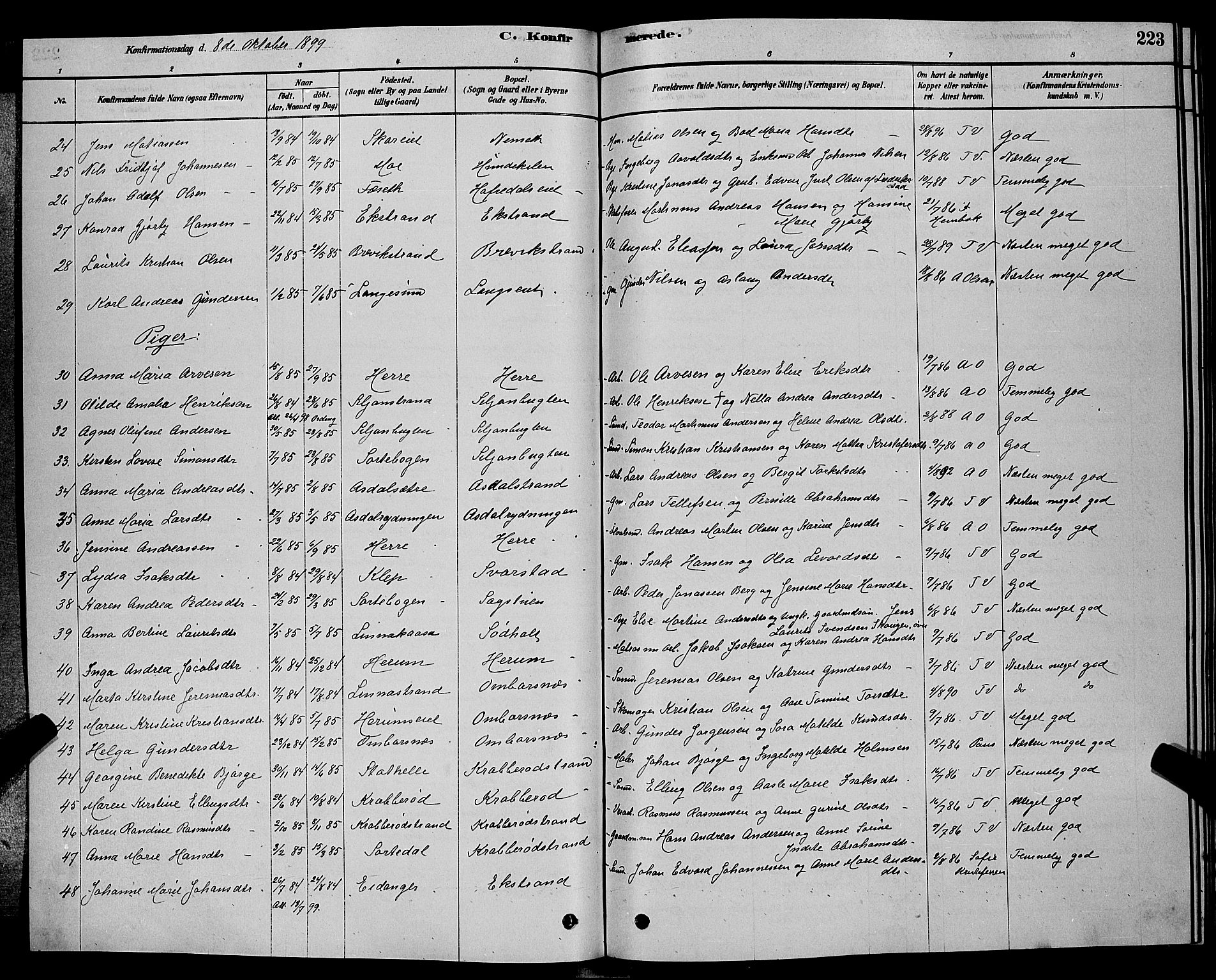 Bamble kirkebøker, AV/SAKO-A-253/G/Ga/L0008: Parish register (copy) no. I 8, 1878-1888, p. 223