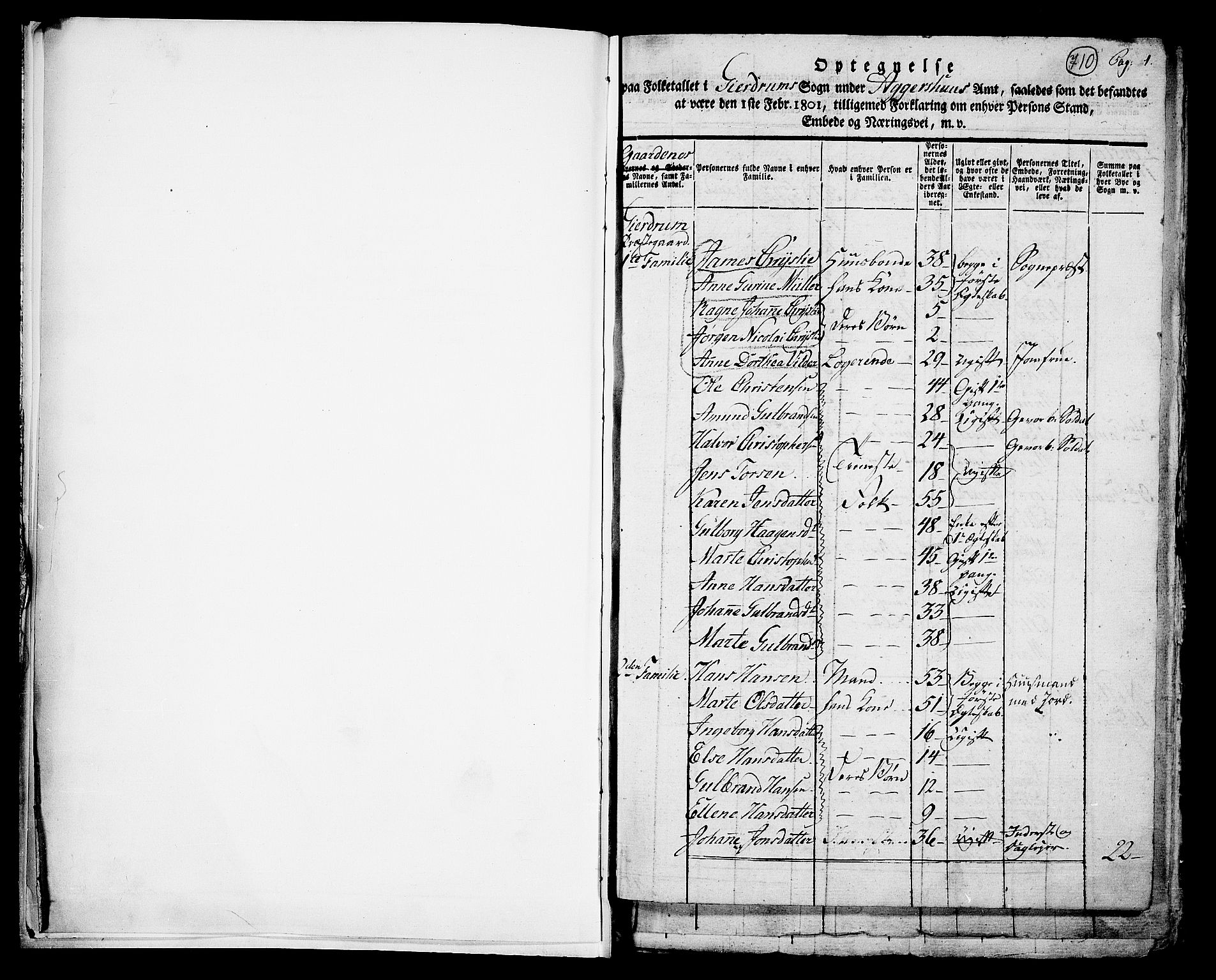 RA, 1801 census for 0234P Gjerdrum, 1801, p. 710a