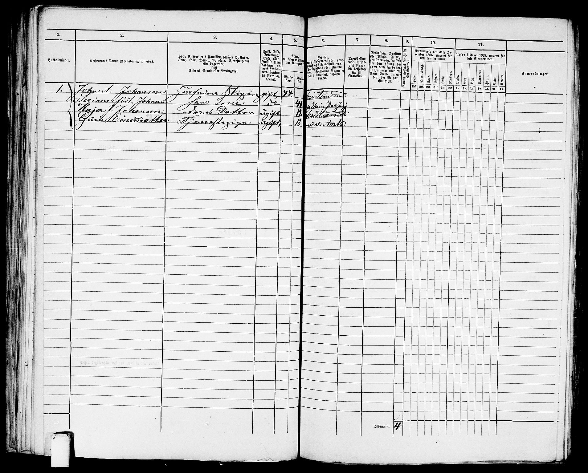 RA, 1865 census for Kristiansund/Kristiansund, 1865, p. 616