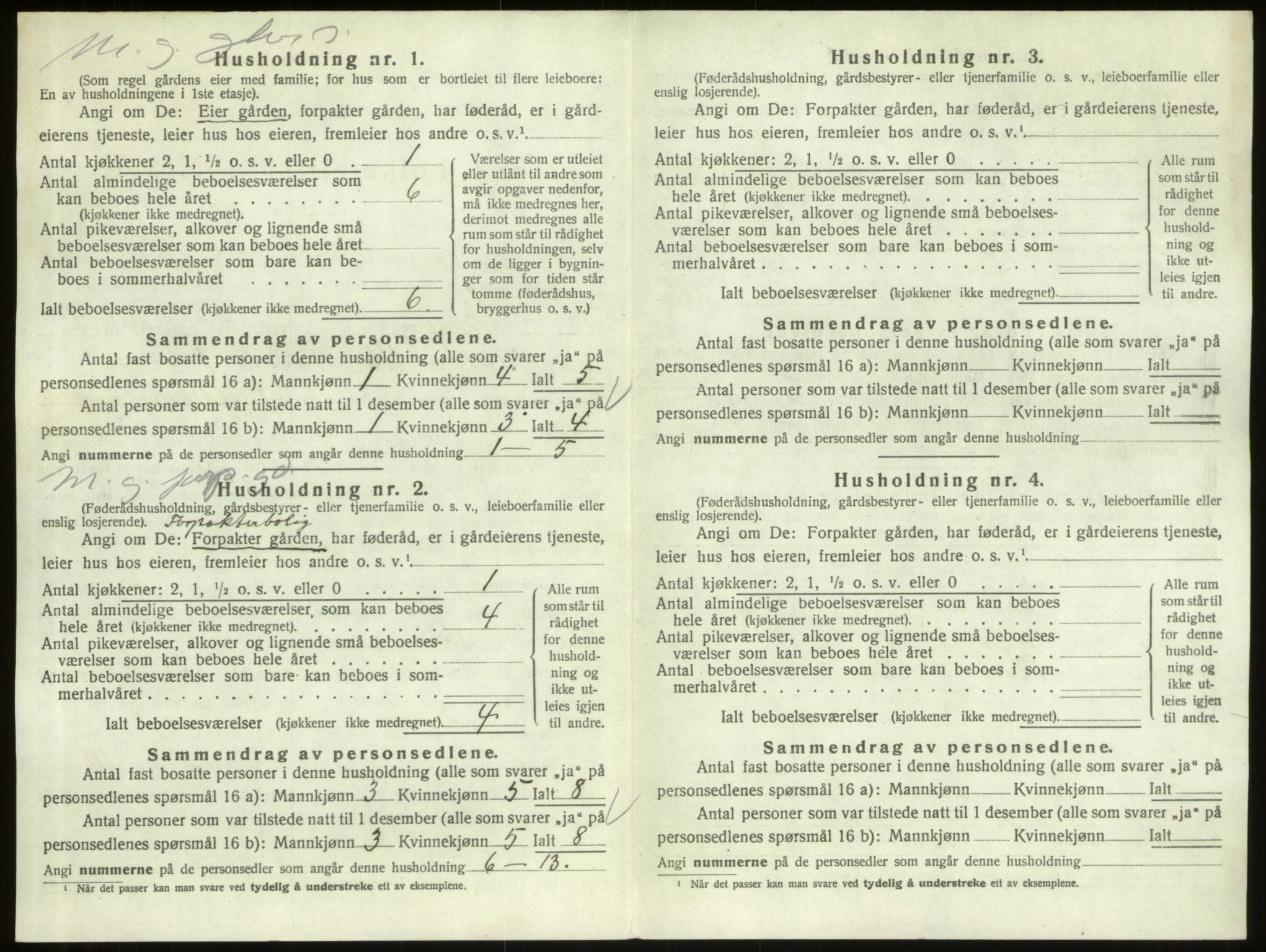 SAO, 1920 census for Skjeberg, 1920, p. 904