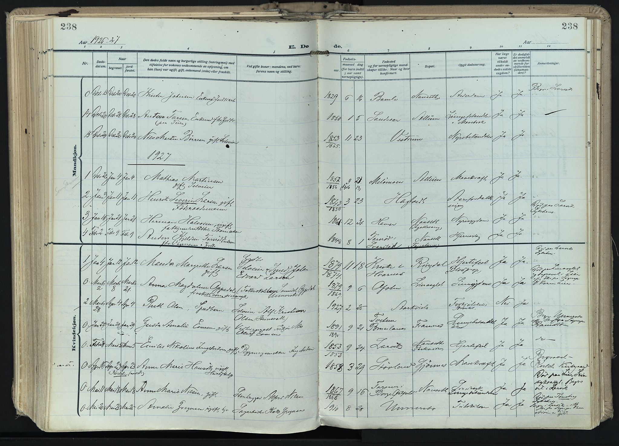 Hedrum kirkebøker, AV/SAKO-A-344/F/Fa/L0011: Parish register (official) no. I 11, 1919-1933, p. 238