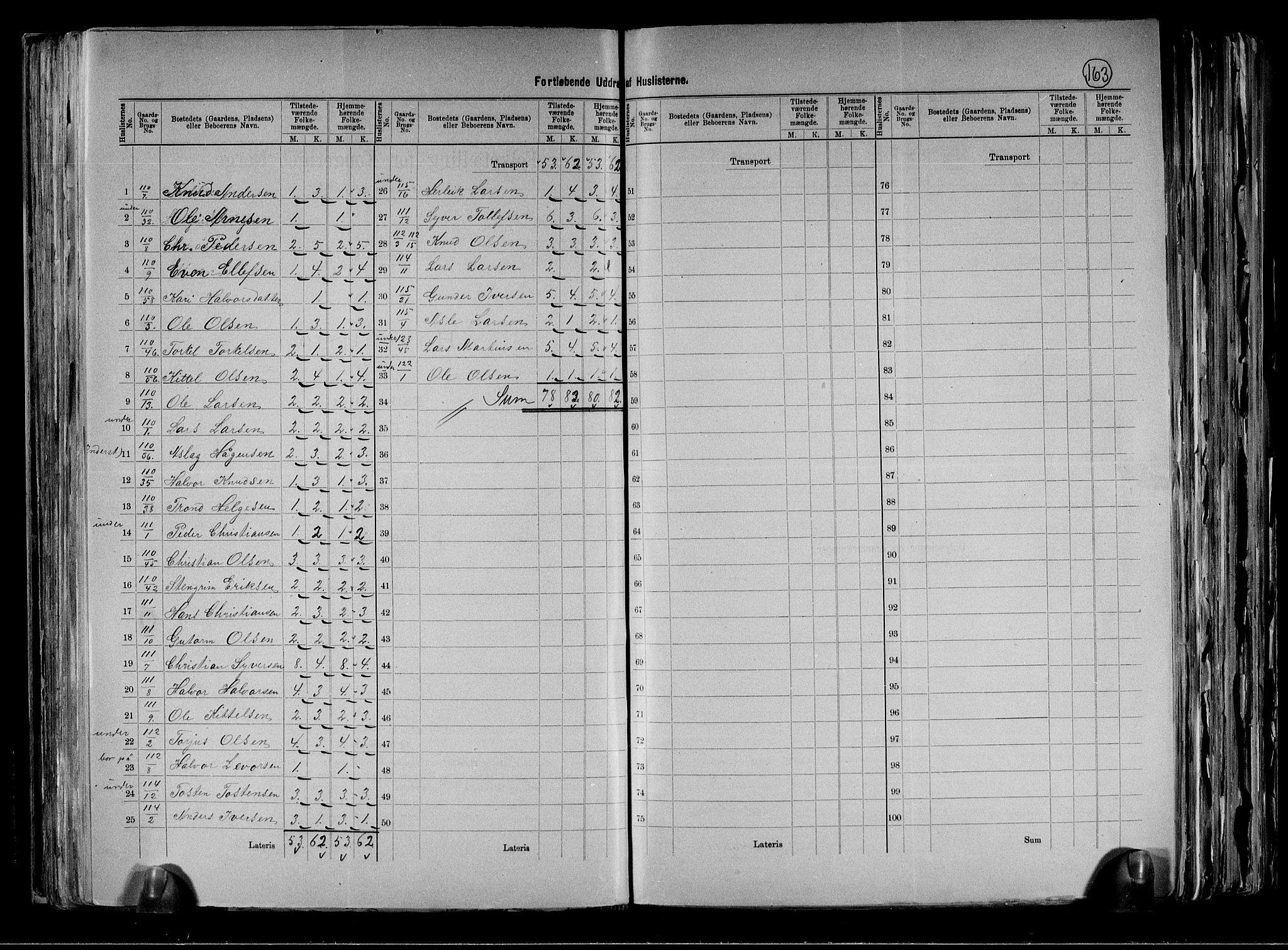 RA, 1891 census for 0619 Ål, 1891, p. 33