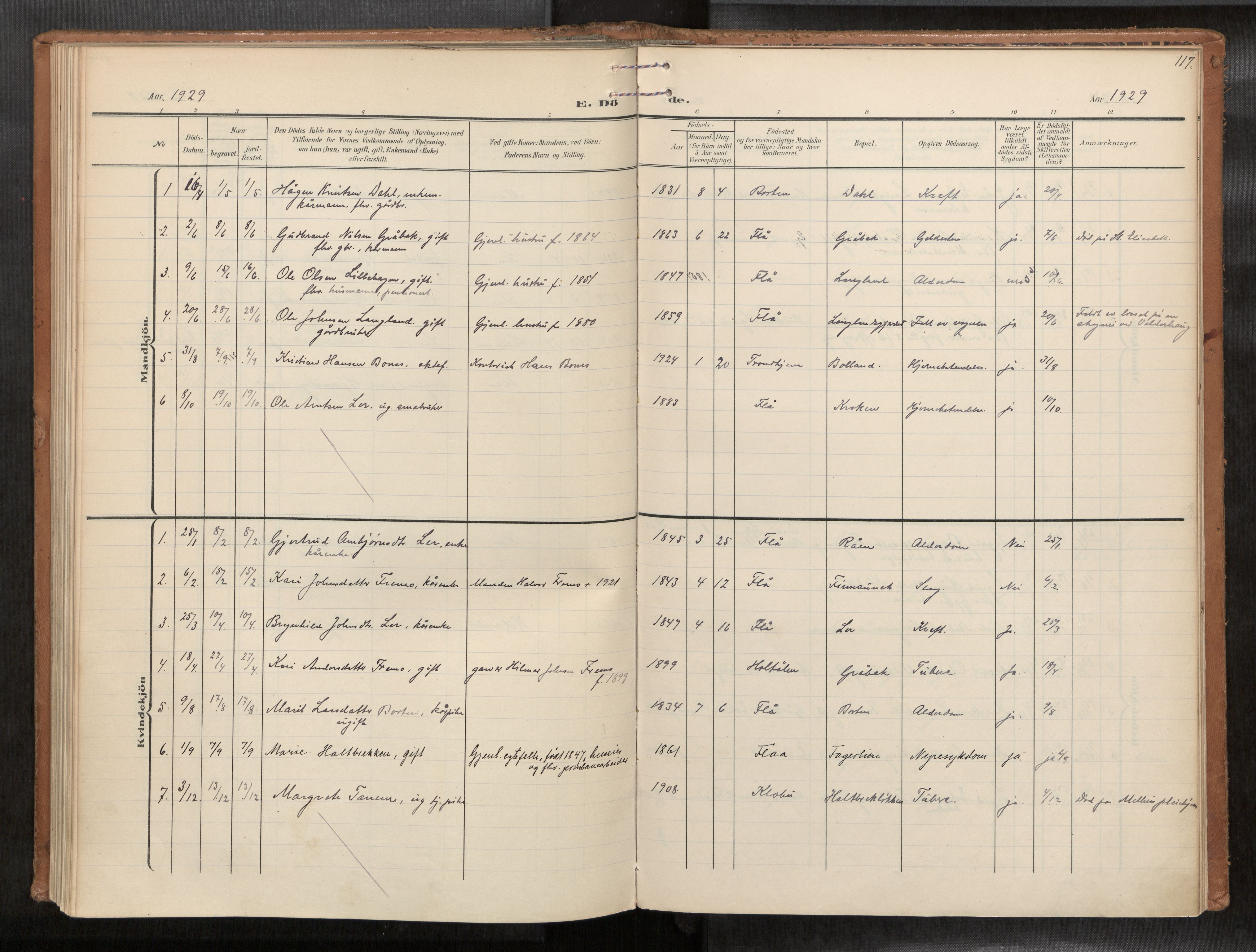 Ministerialprotokoller, klokkerbøker og fødselsregistre - Sør-Trøndelag, AV/SAT-A-1456/693/L1119b: Parish register (official) no. 693A02, 1906-1936, p. 117