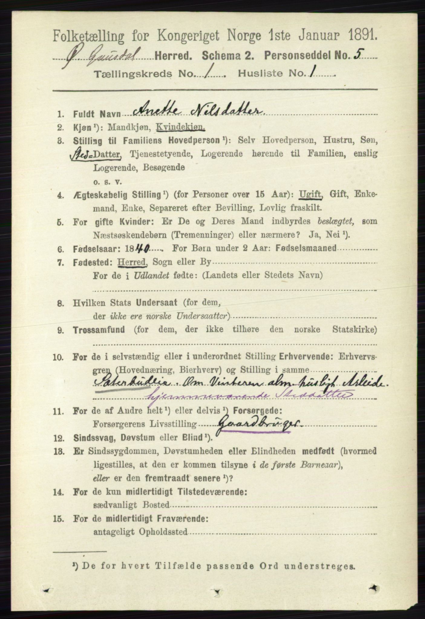 RA, 1891 census for 0522 Østre Gausdal, 1891, p. 163