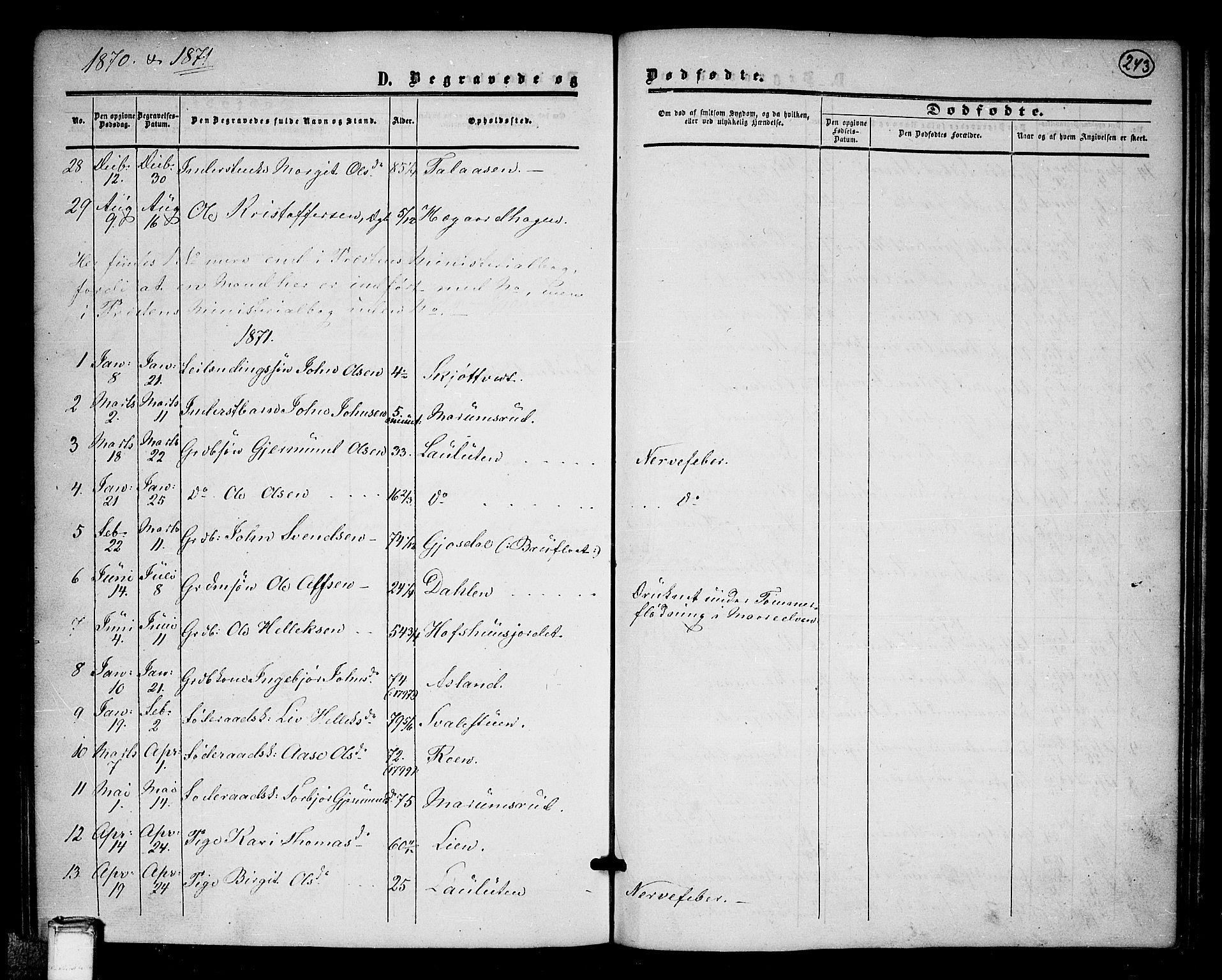 Tinn kirkebøker, AV/SAKO-A-308/G/Ga/L0002: Parish register (copy) no. I 2, 1851-1883, p. 243