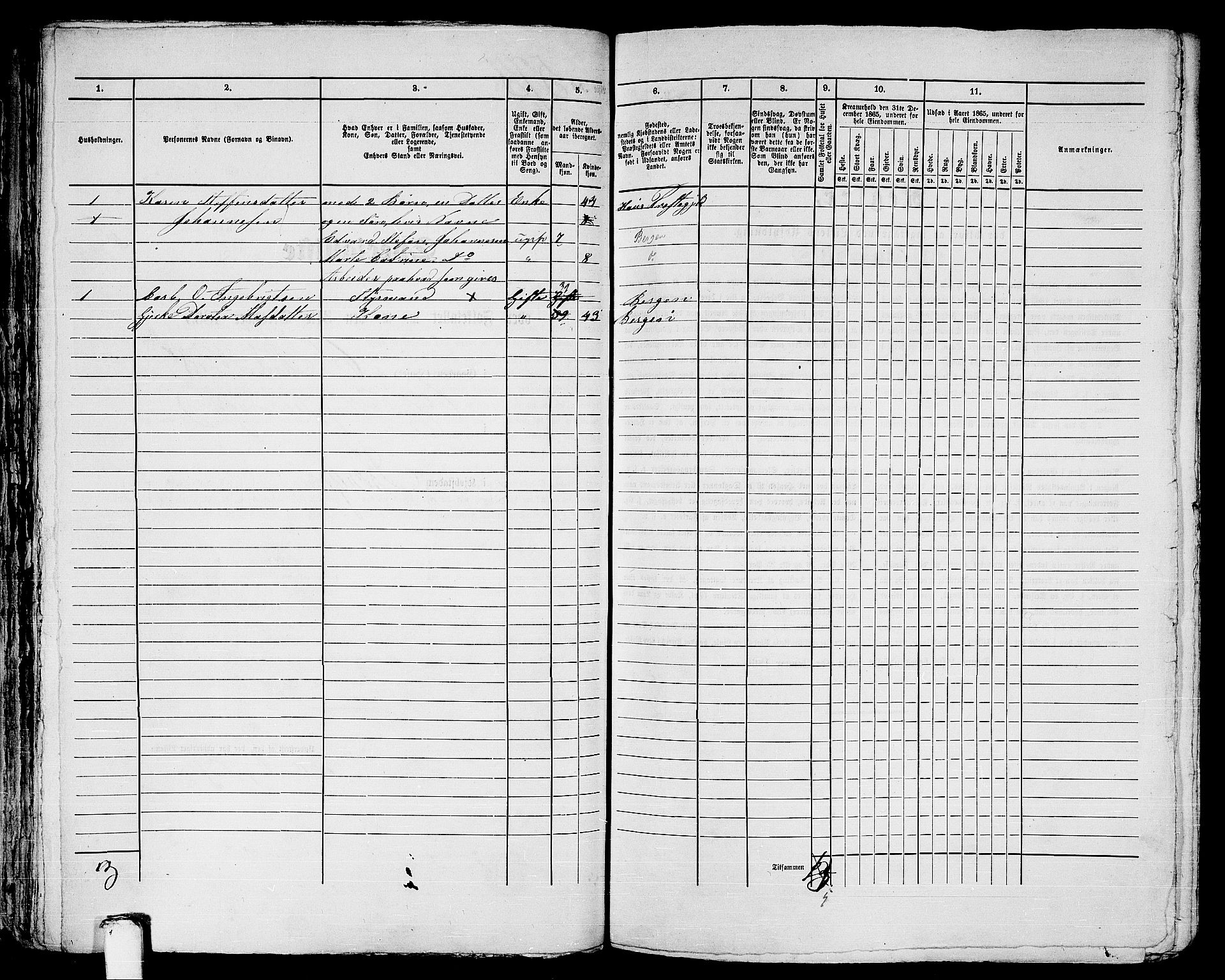 RA, 1865 census for Bergen, 1865, p. 1215