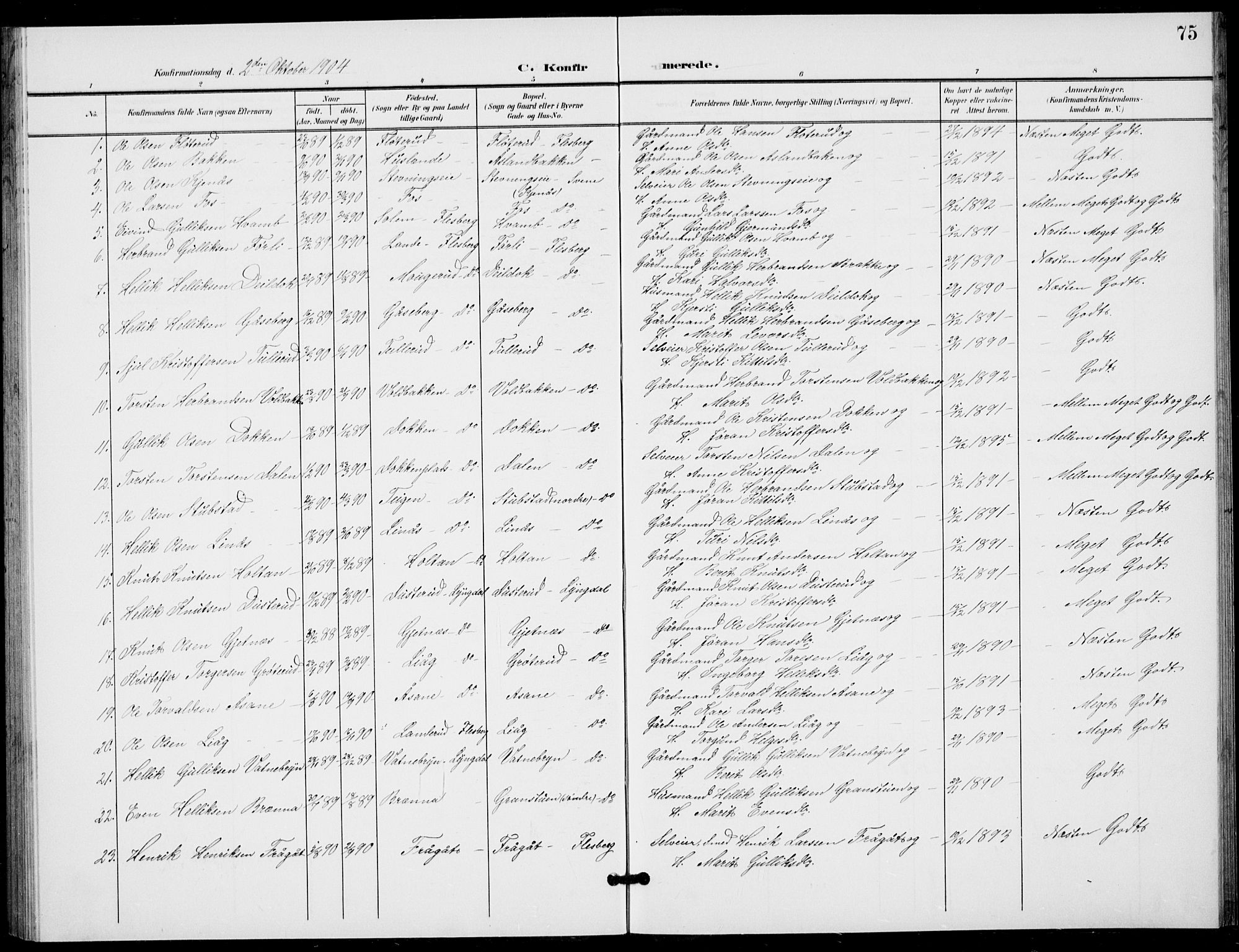 Flesberg kirkebøker, SAKO/A-18/G/Ga/L0005: Parish register (copy) no. I 5, 1899-1908, p. 75