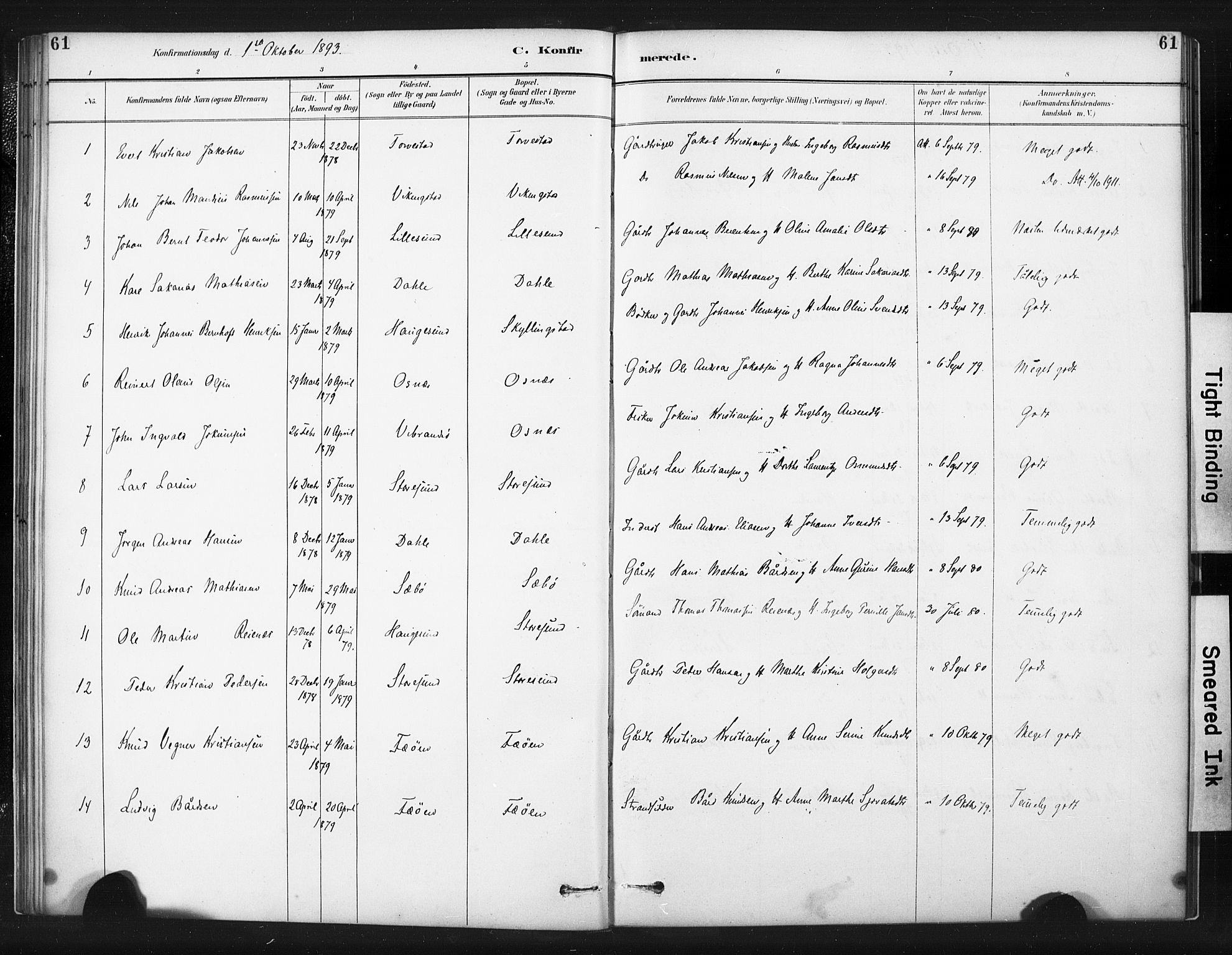 Torvastad sokneprestkontor, AV/SAST-A -101857/H/Ha/Haa/L0015: Parish register (official) no. A 14, 1888-1899, p. 61