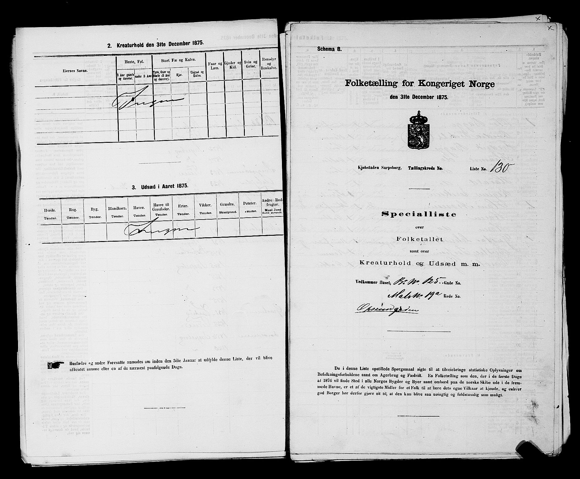 RA, 1875 census for 0102P Sarpsborg, 1875, p. 304