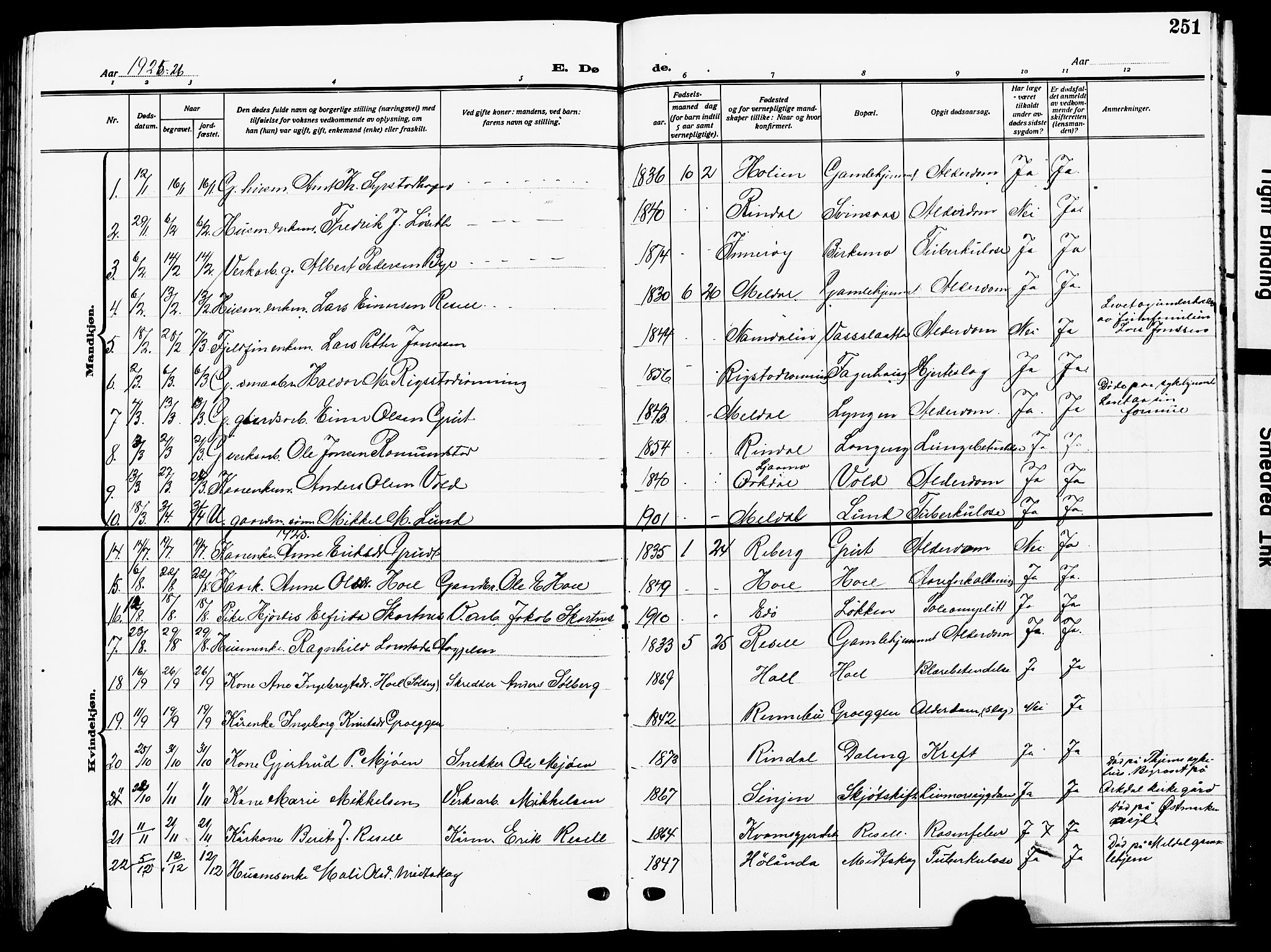 Ministerialprotokoller, klokkerbøker og fødselsregistre - Sør-Trøndelag, SAT/A-1456/672/L0865: Parish register (copy) no. 672C04, 1914-1928, p. 251