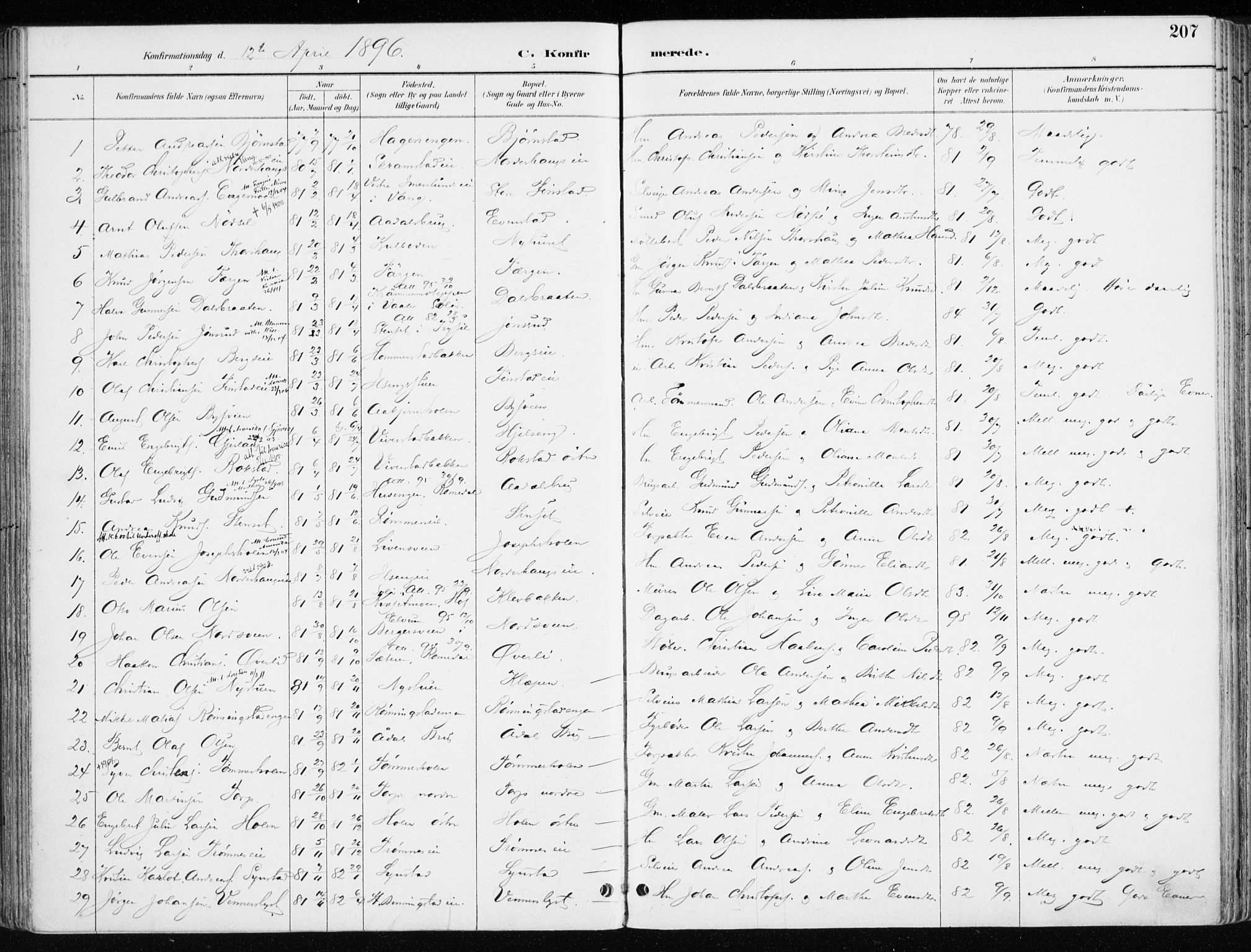 Løten prestekontor, AV/SAH-PREST-022/K/Ka/L0010: Parish register (official) no. 10, 1892-1907, p. 207