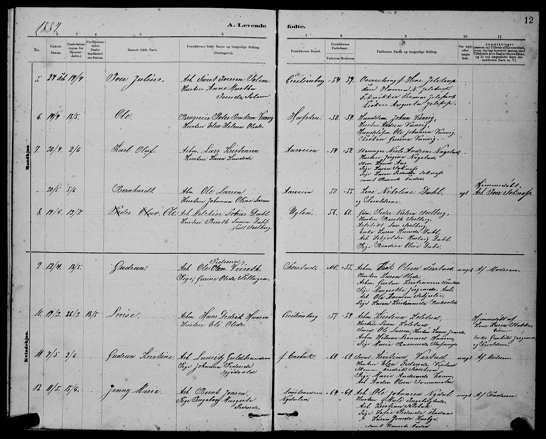 Ministerialprotokoller, klokkerbøker og fødselsregistre - Sør-Trøndelag, SAT/A-1456/611/L0354: Parish register (copy) no. 611C02, 1881-1896, p. 12