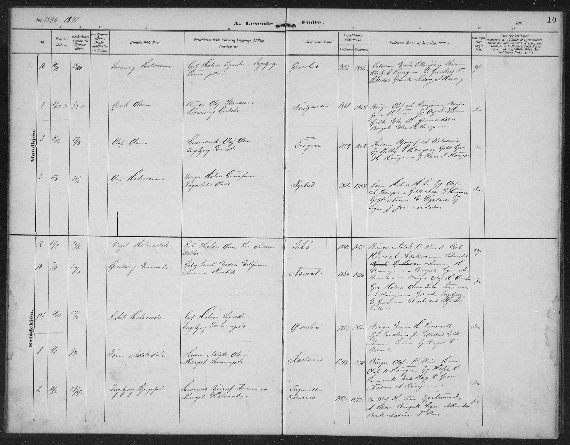 Seljord kirkebøker, SAKO/A-20/G/Gc/L0003: Parish register (copy) no. III 3, 1887-1926, p. 10