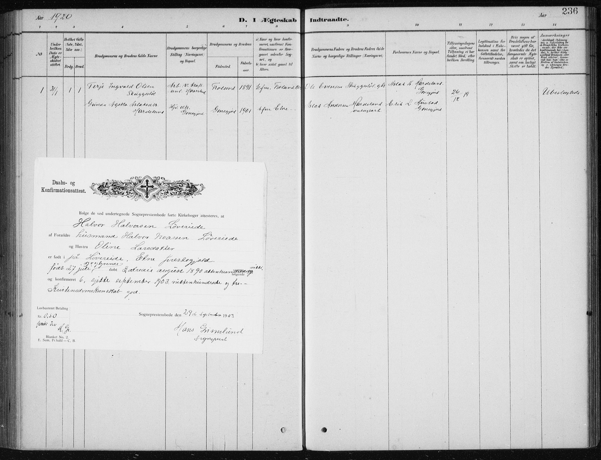 Etne sokneprestembete, AV/SAB-A-75001/H/Haa: Parish register (official) no. D  1, 1879-1919, p. 236