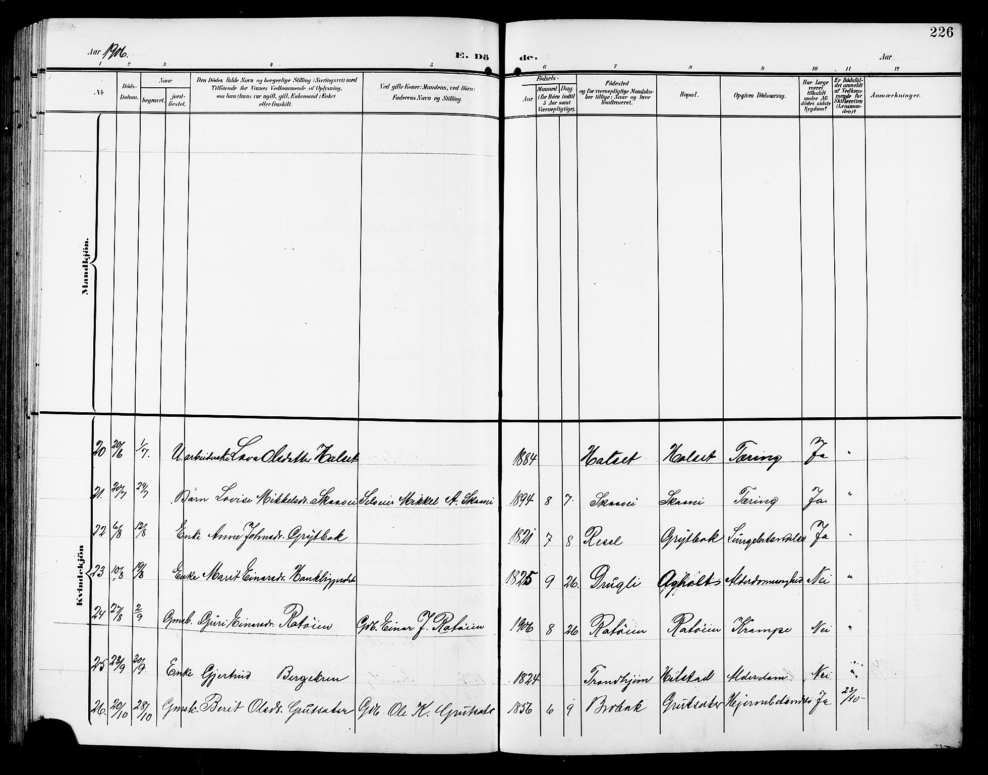 Ministerialprotokoller, klokkerbøker og fødselsregistre - Sør-Trøndelag, AV/SAT-A-1456/672/L0864: Parish register (copy) no. 672C03, 1902-1914, p. 226