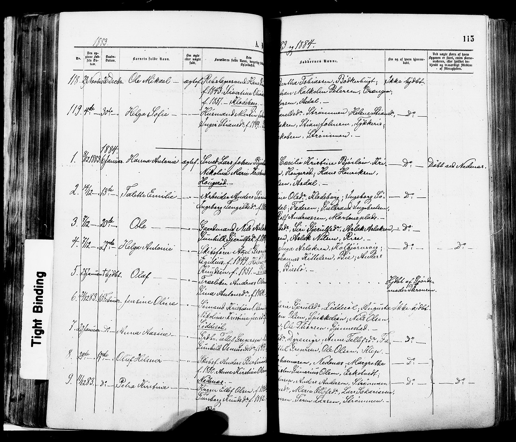 Øyestad sokneprestkontor, AV/SAK-1111-0049/F/Fa/L0016: Parish register (official) no. A 16, 1874-1886, p. 115