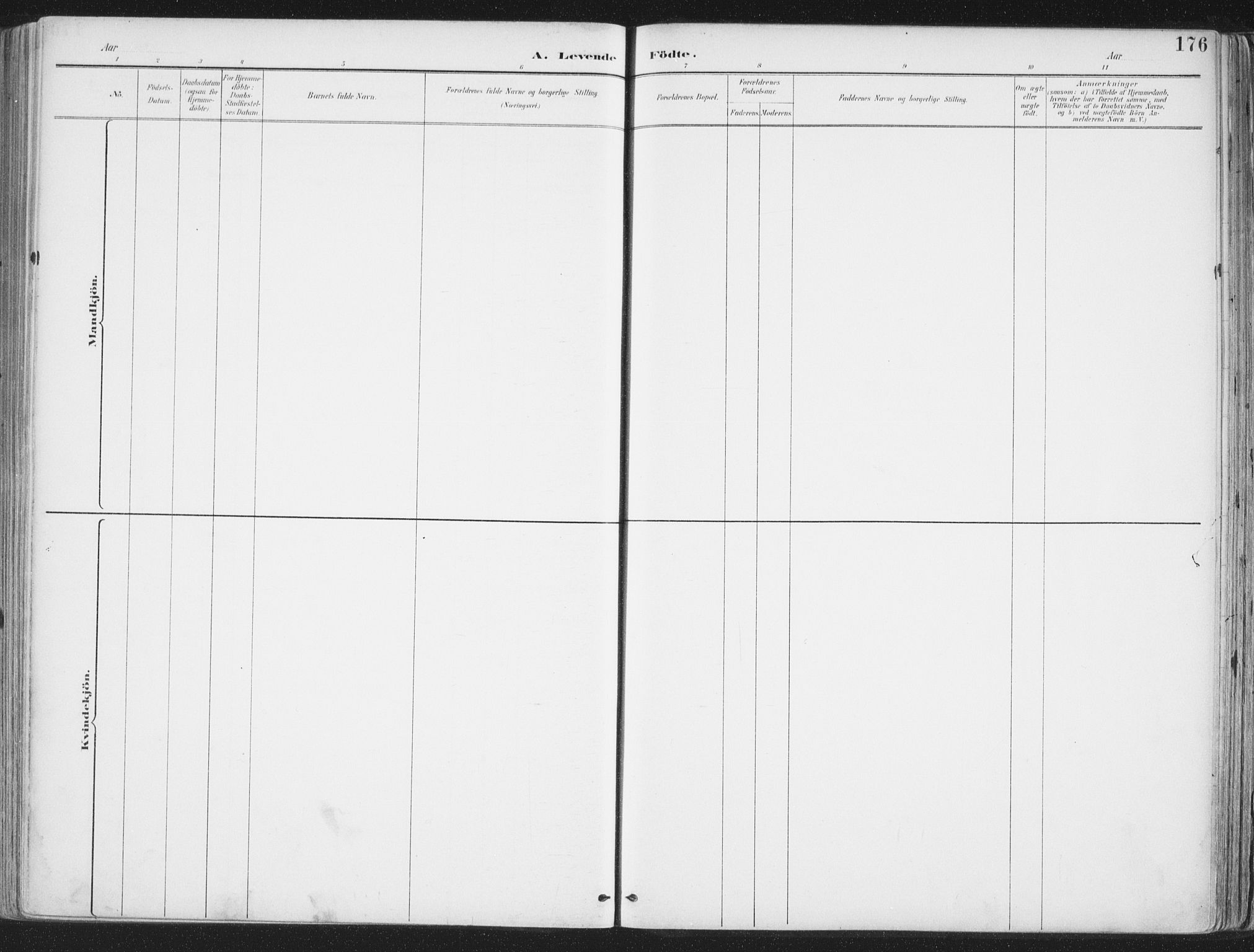 Ministerialprotokoller, klokkerbøker og fødselsregistre - Nordland, SAT/A-1459/888/L1246: Parish register (official) no. 888A12, 1891-1903, p. 176