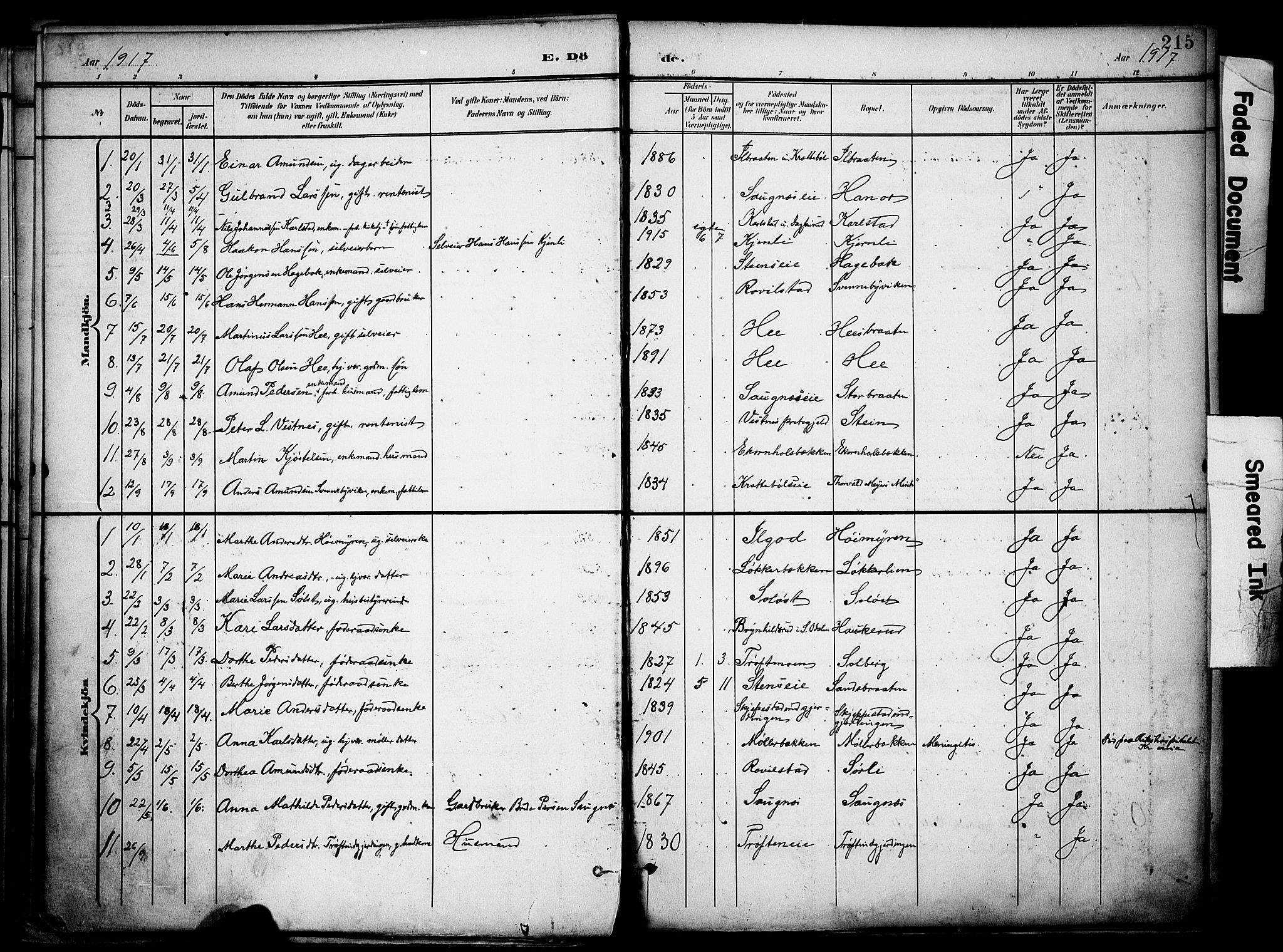 Nord-Odal prestekontor, SAH/PREST-032/H/Ha/Haa/L0007: Parish register (official) no. 7, 1902-1926, p. 215