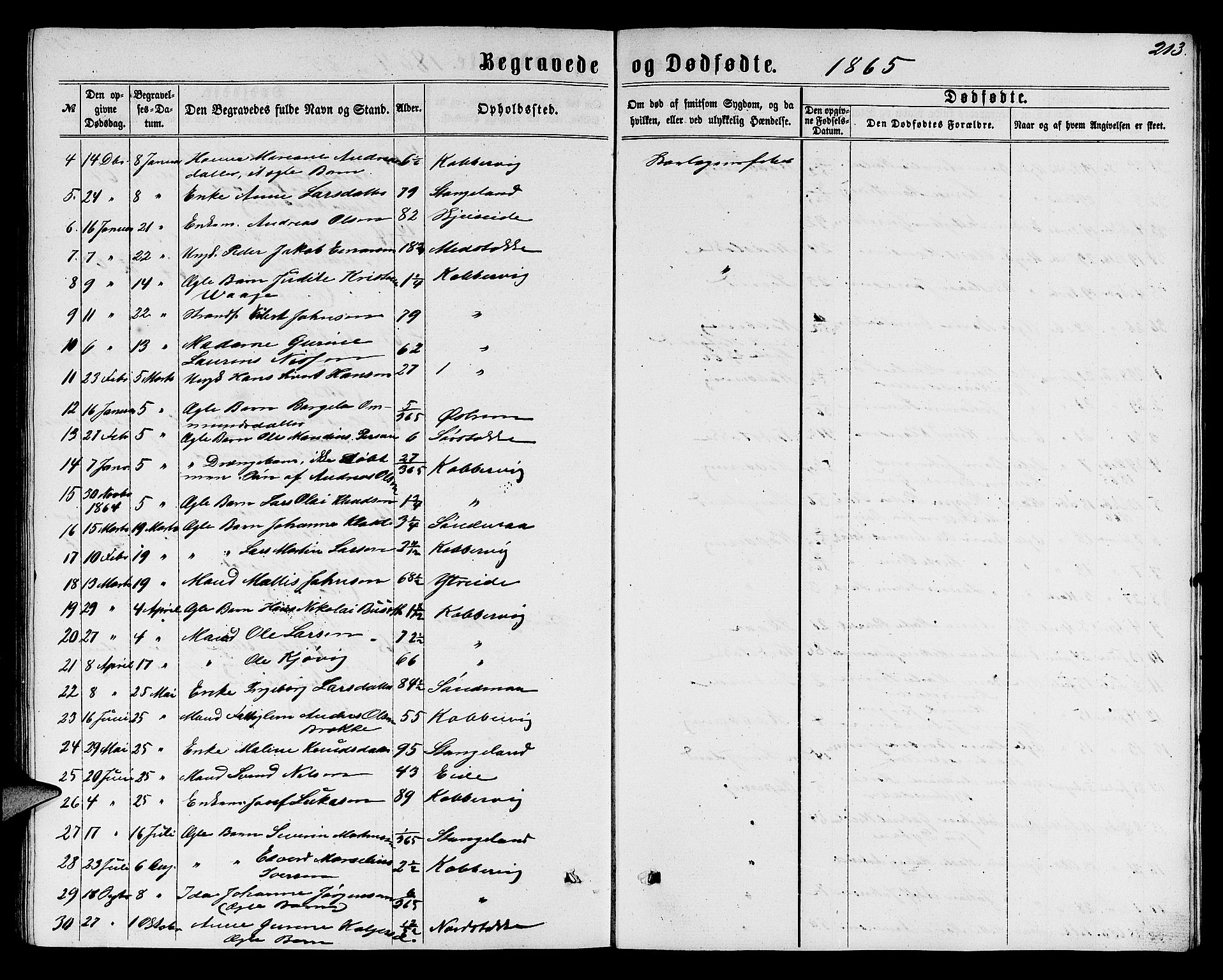 Avaldsnes sokneprestkontor, SAST/A -101851/H/Ha/Hab/L0004: Parish register (copy) no. B 4, 1861-1876, p. 213