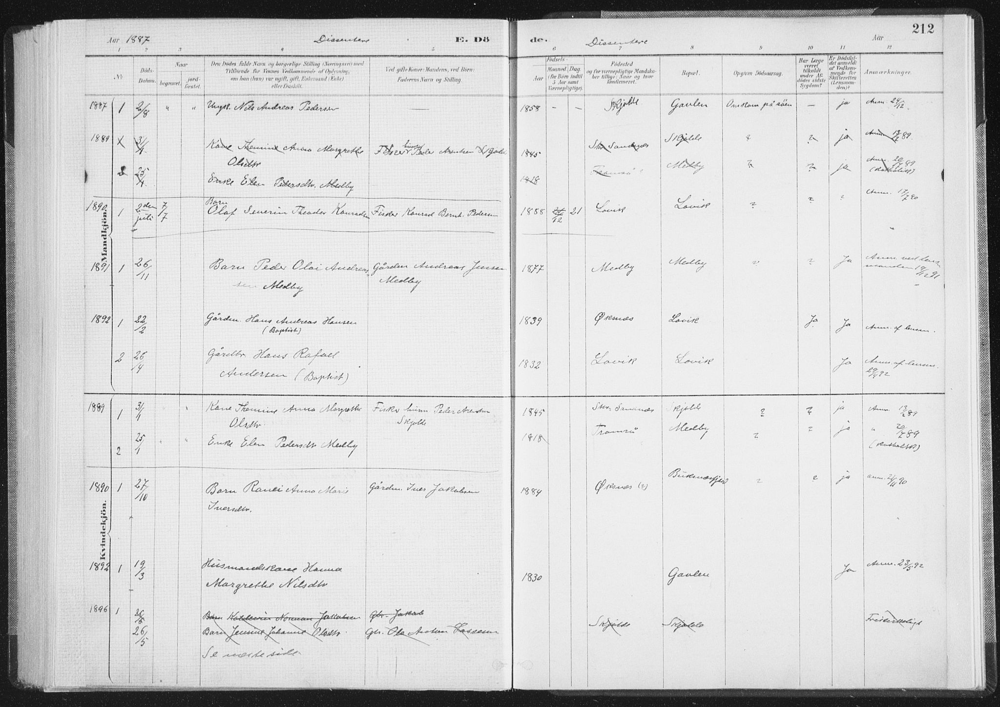 Ministerialprotokoller, klokkerbøker og fødselsregistre - Nordland, SAT/A-1459/898/L1422: Parish register (official) no. 898A02, 1887-1908, p. 212