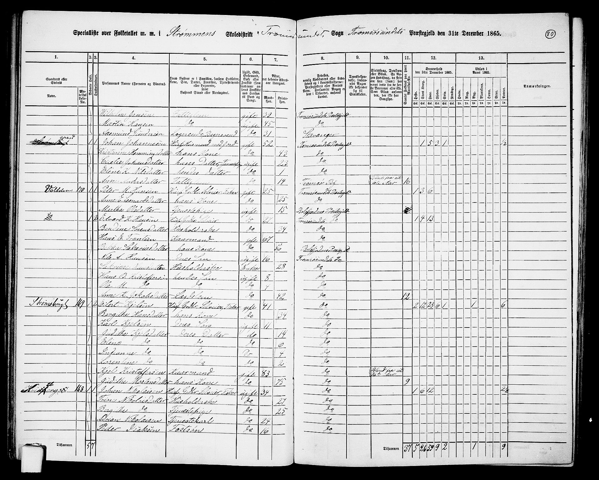 RA, 1865 census for Tromsøysund, 1865, p. 69