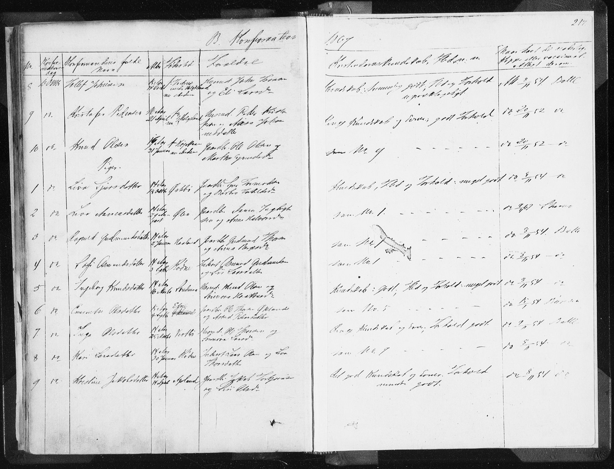 Vikedal sokneprestkontor, AV/SAST-A-101840/01/IV: Parish register (official) no. A 6.1, 1851-1867, p. 217