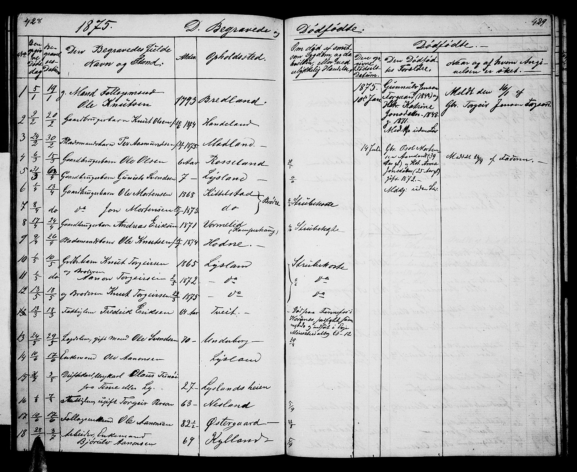 Åseral sokneprestkontor, AV/SAK-1111-0051/F/Fb/L0001: Parish register (copy) no. B 1, 1856-1877, p. 428-429