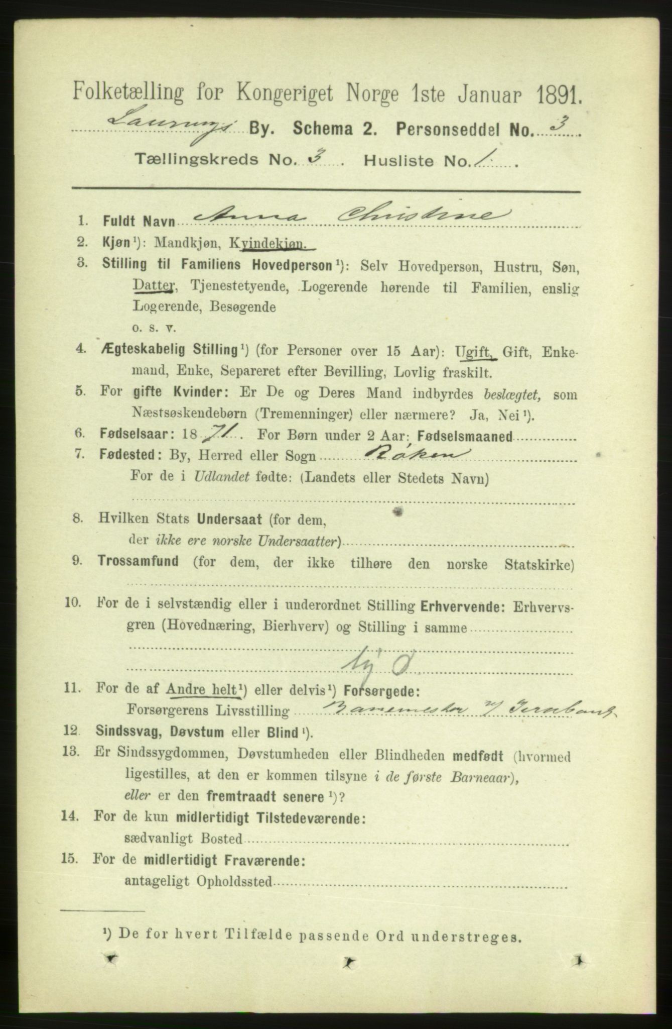 RA, 1891 census for 0707 Larvik, 1891, p. 4124