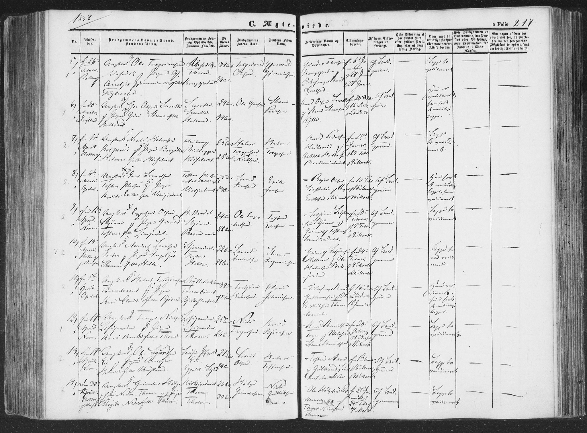 Rollag kirkebøker, SAKO/A-240/F/Fa/L0008: Parish register (official) no. I 8, 1847-1860, p. 217